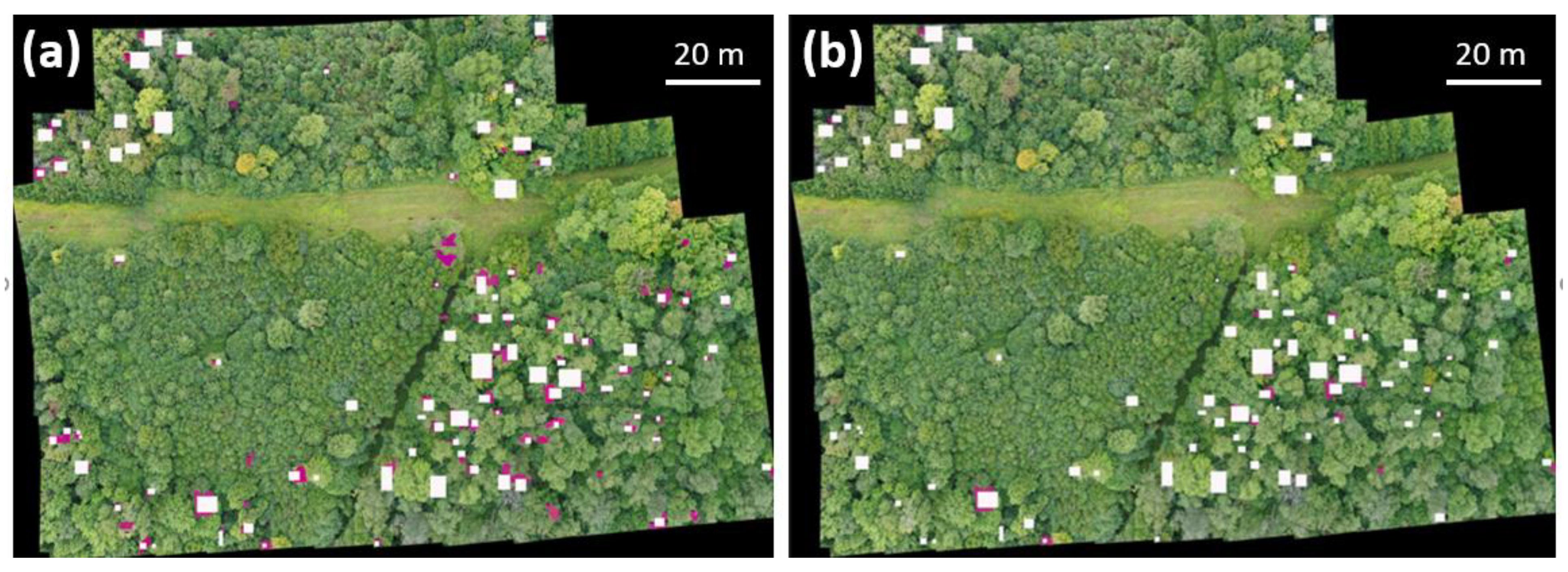 Plants 12 00798 g004