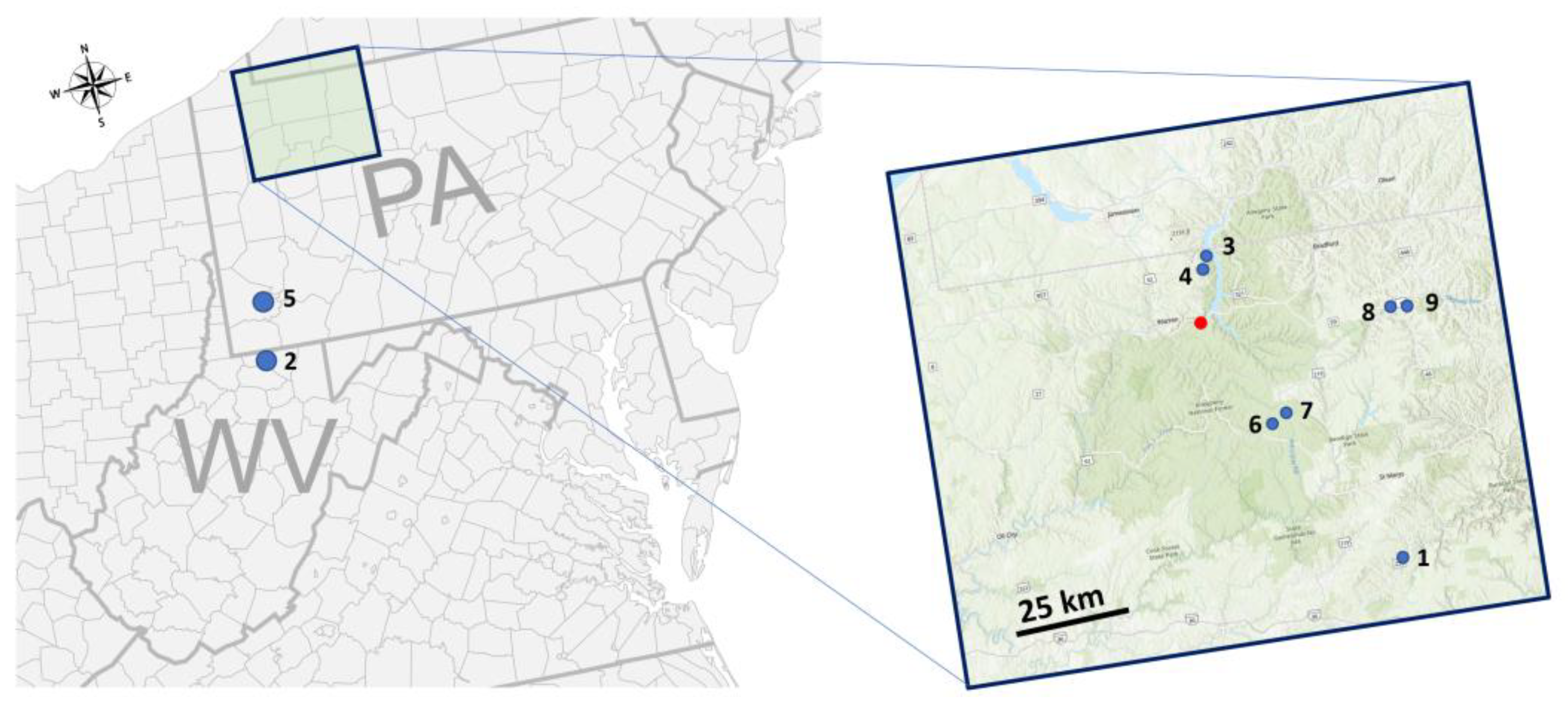 Plants 12 00798 g006