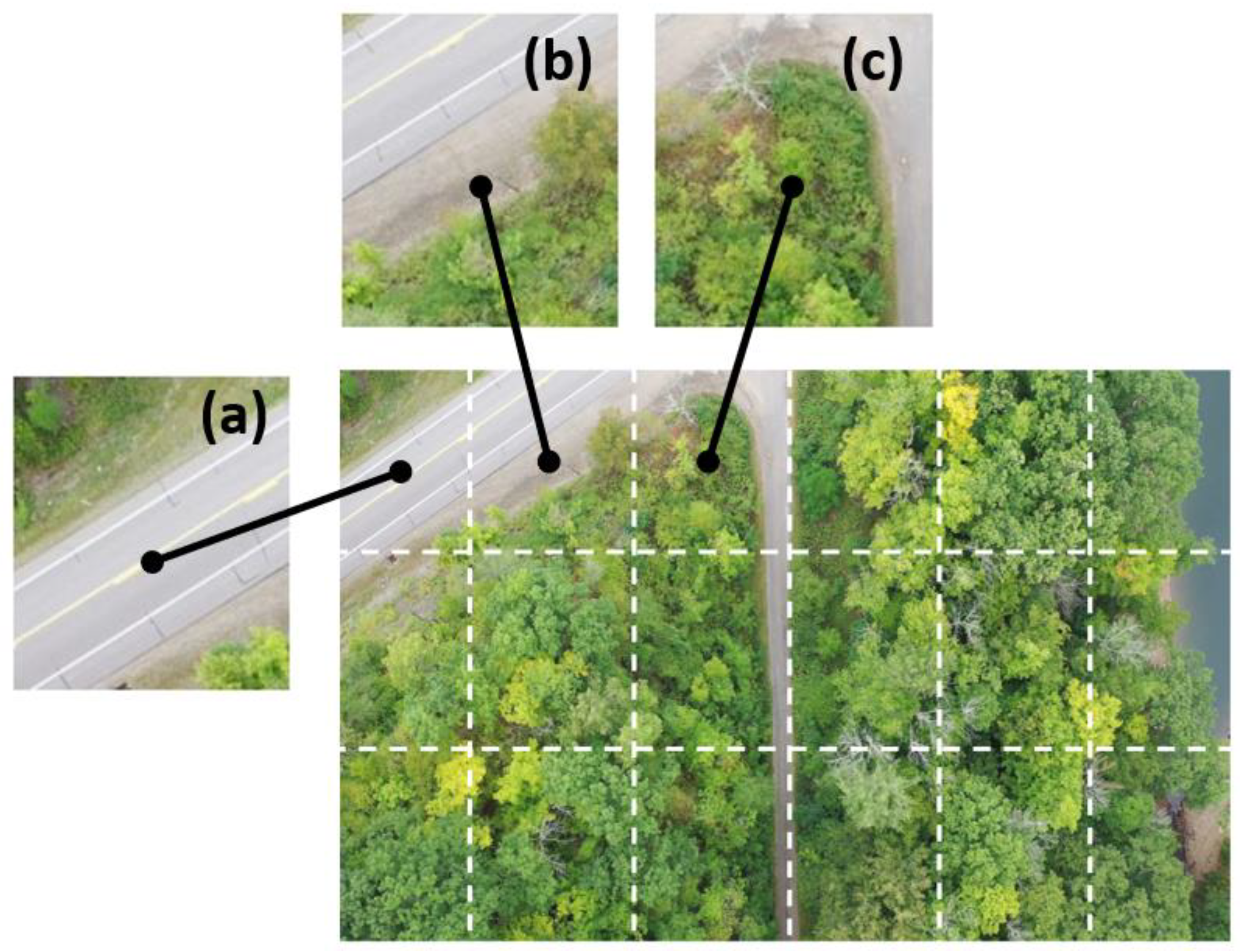 Plants 12 00798 g008