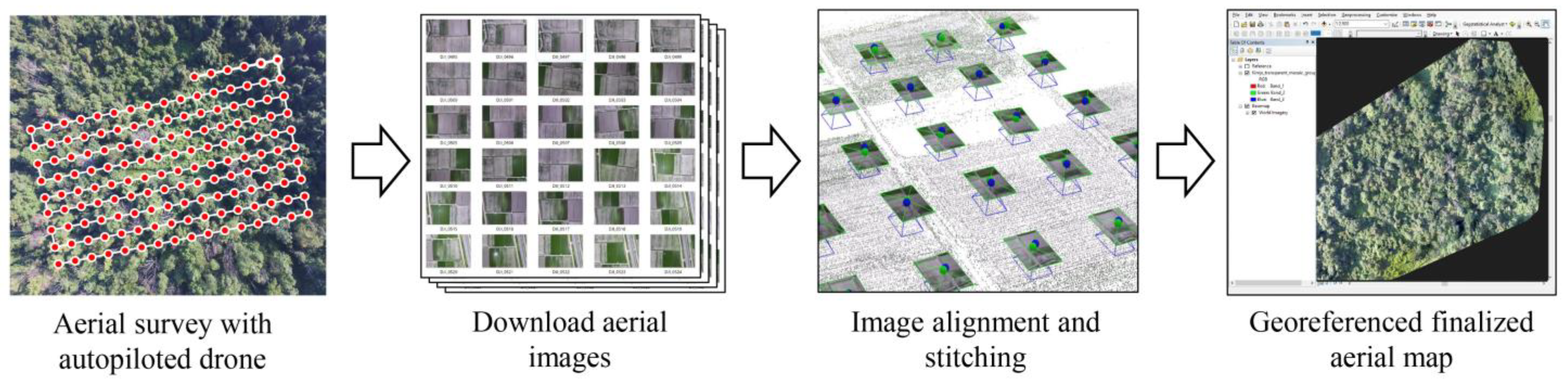 Plants 12 00798 g012