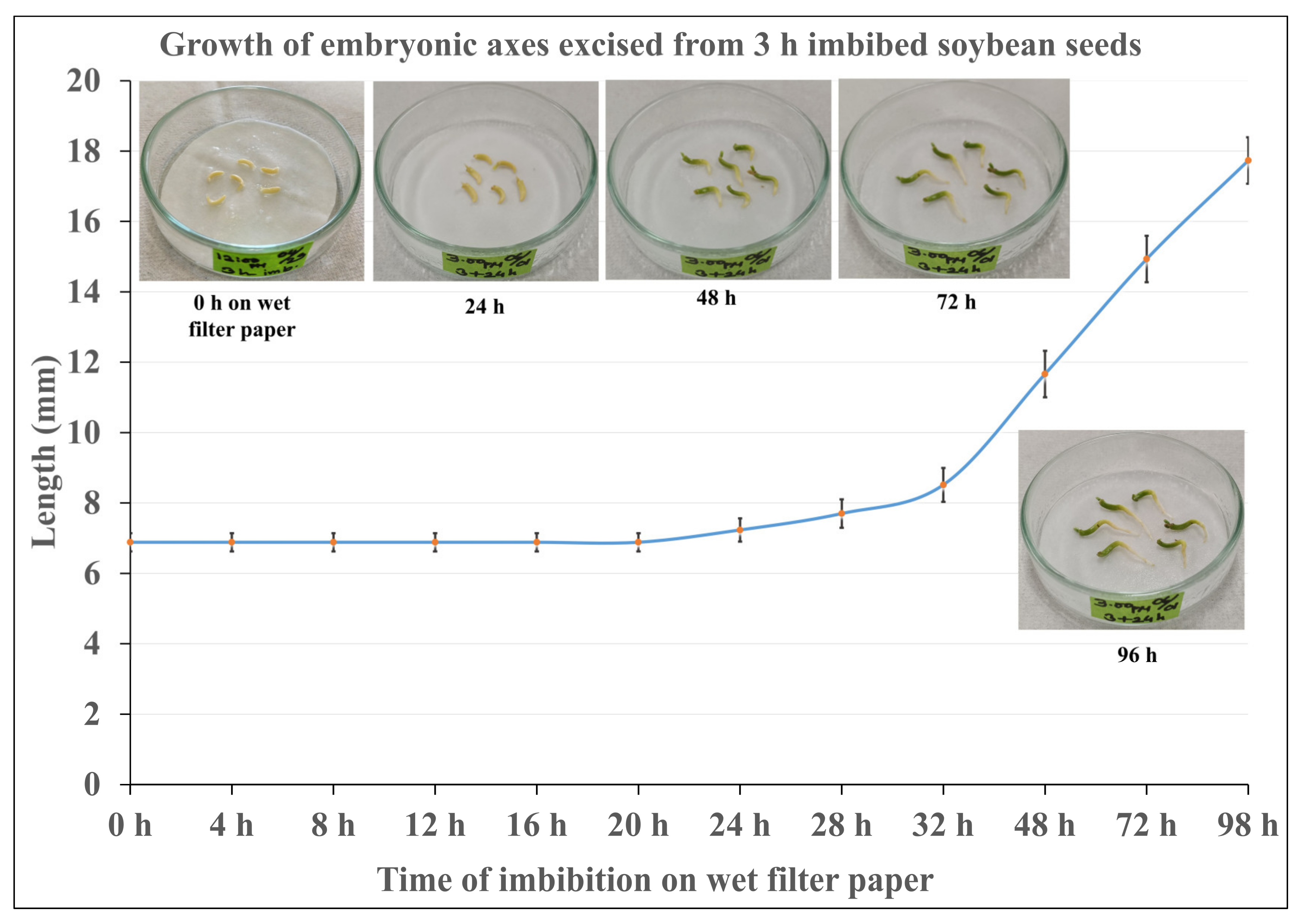 Plants 12 00799 g002