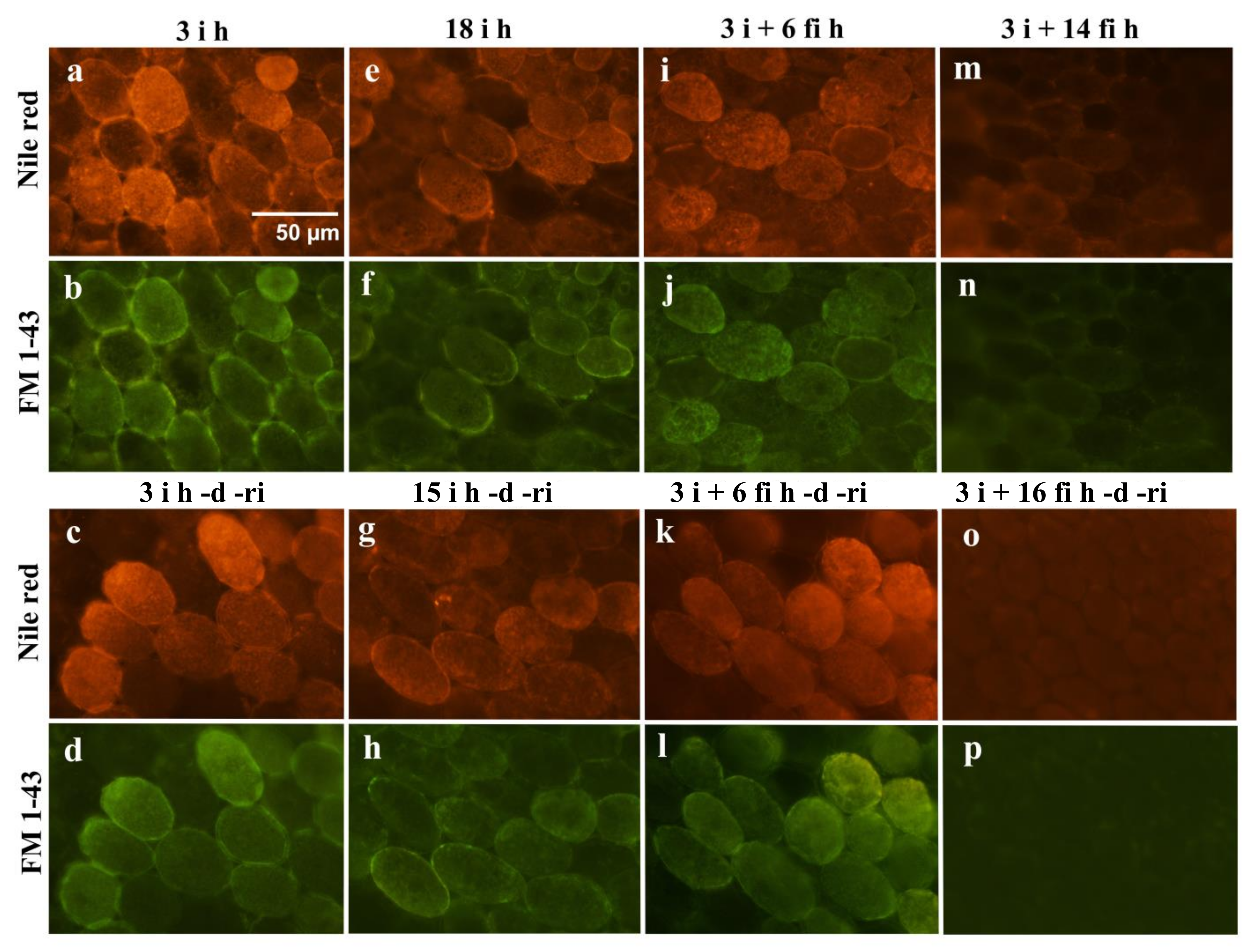 Plants 12 00799 g005