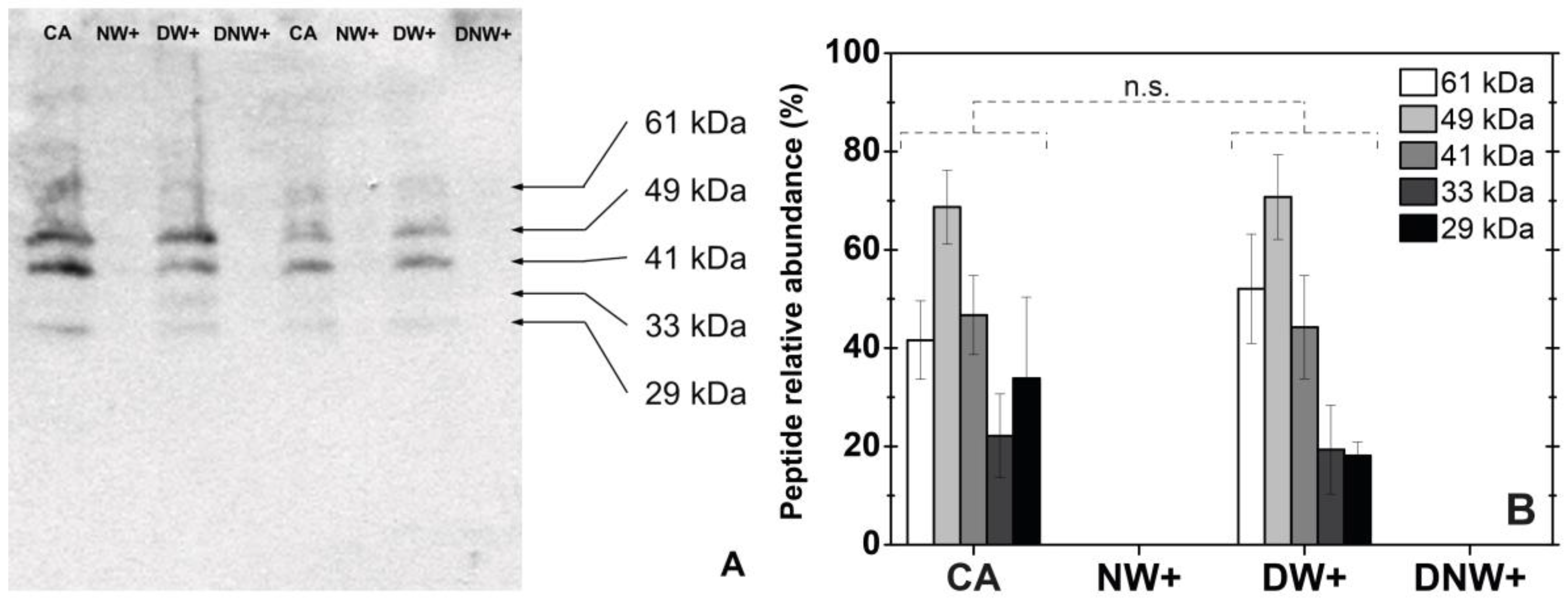Plants 12 00806 g003