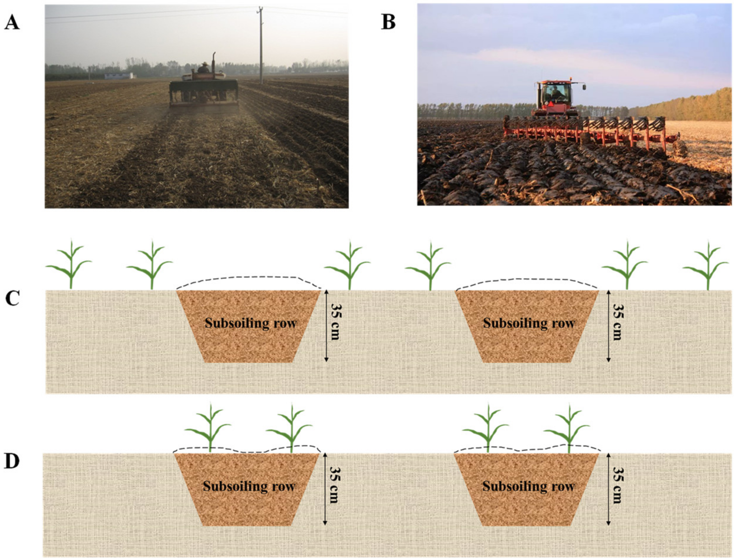 Plants 12 00808 g010 Plants 12 00808 g010