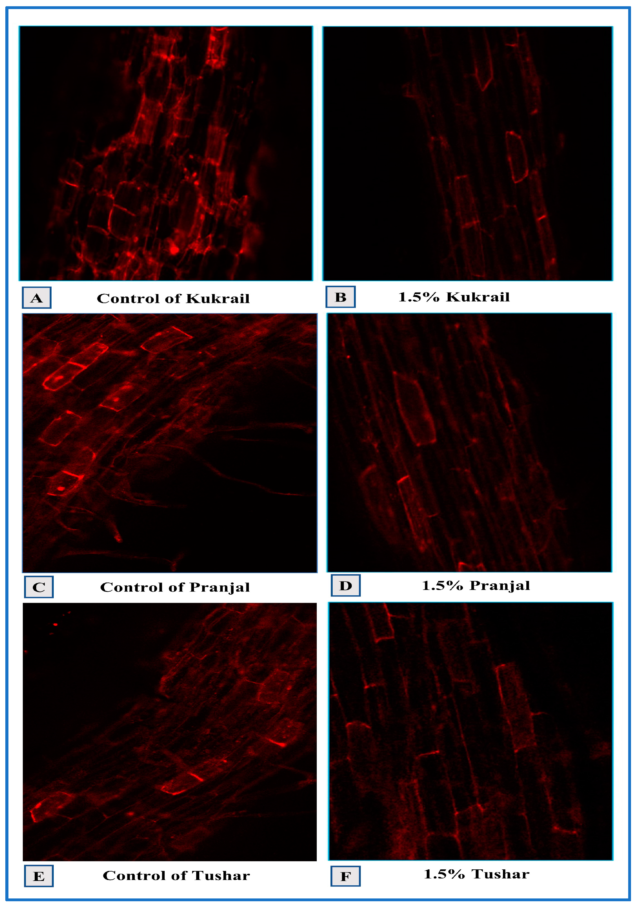 Plants 12 00809 g007