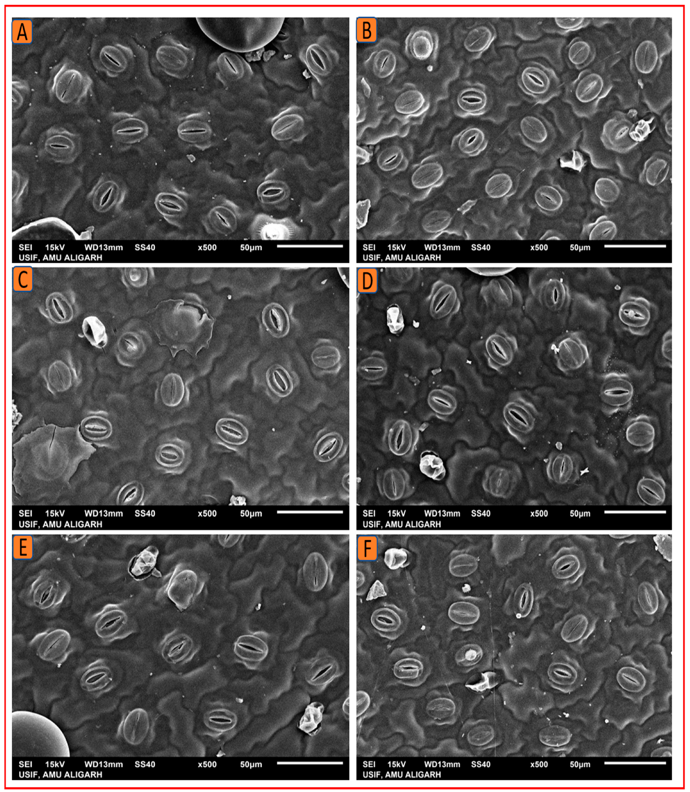 Plants 12 00809 g010