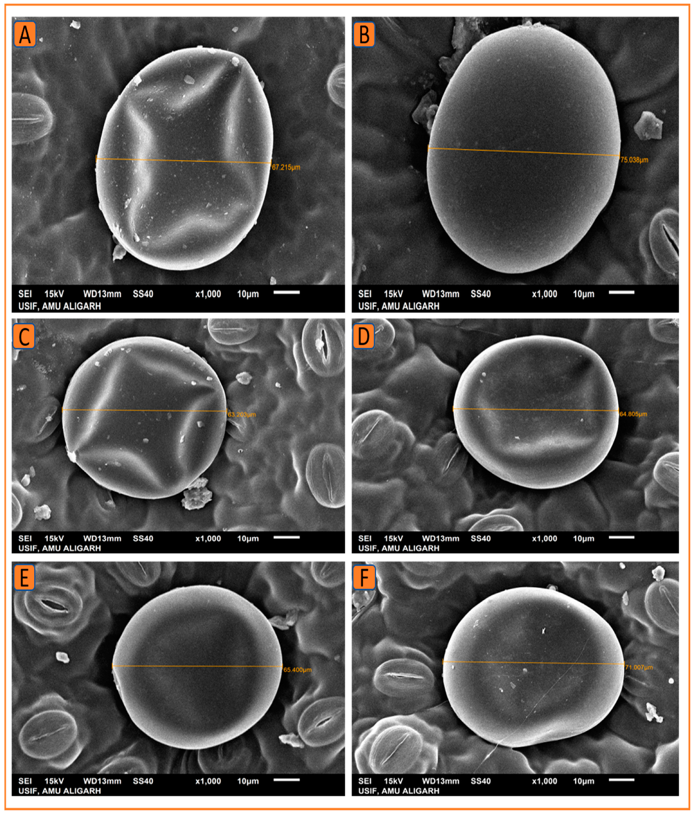 Plants 12 00809 g011