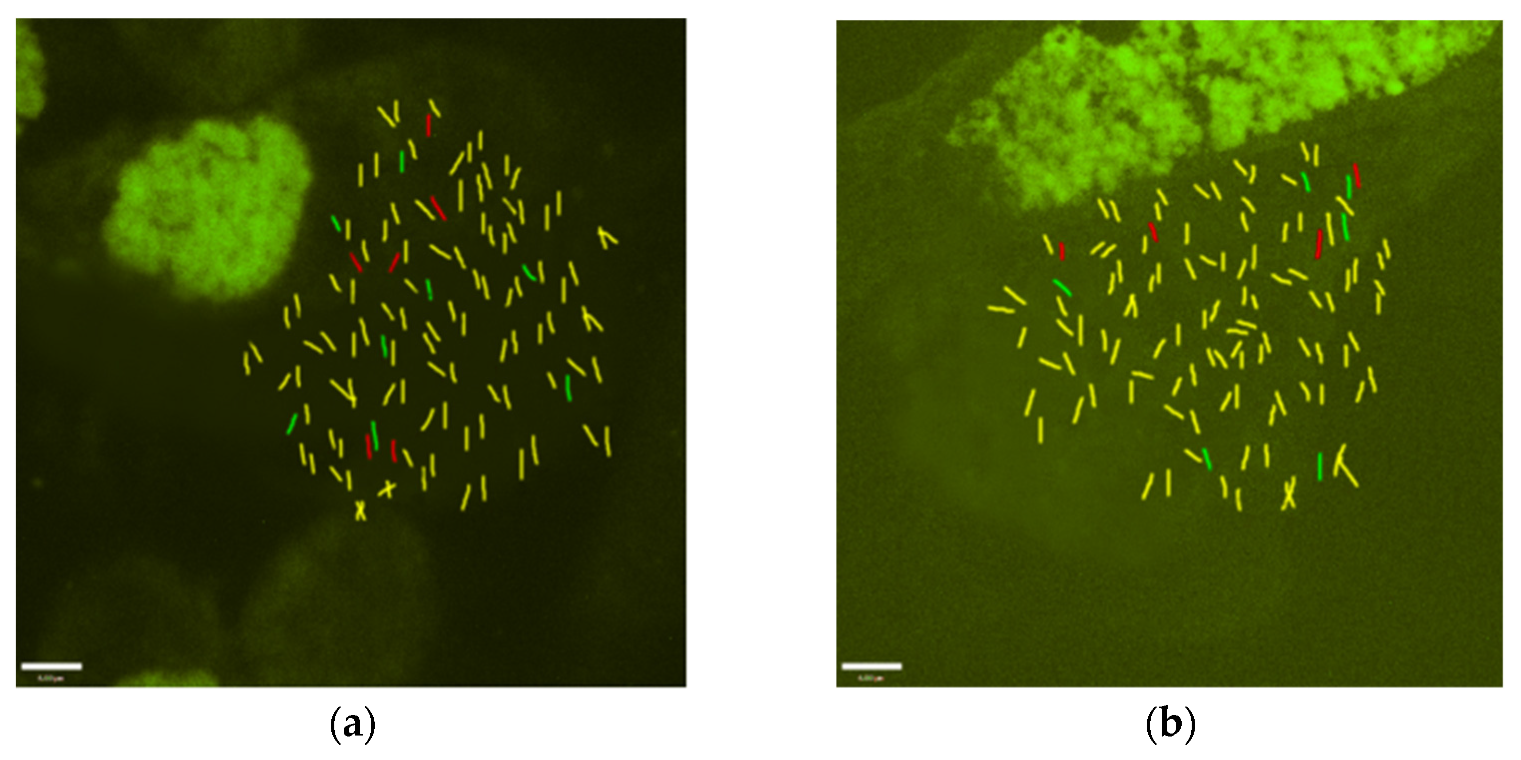 Plants 12 00810 g002 550