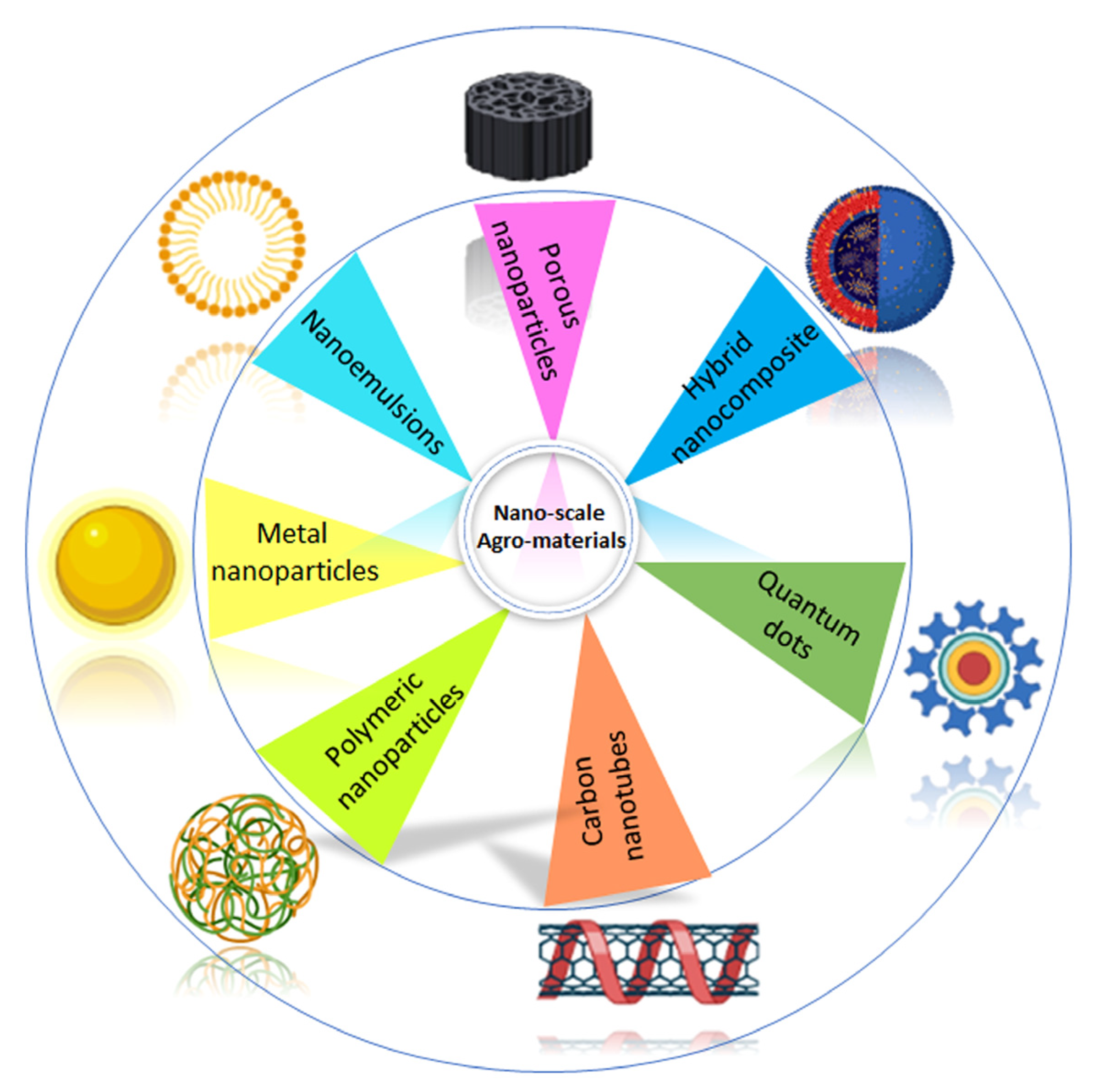 Plants 12 00815 g001