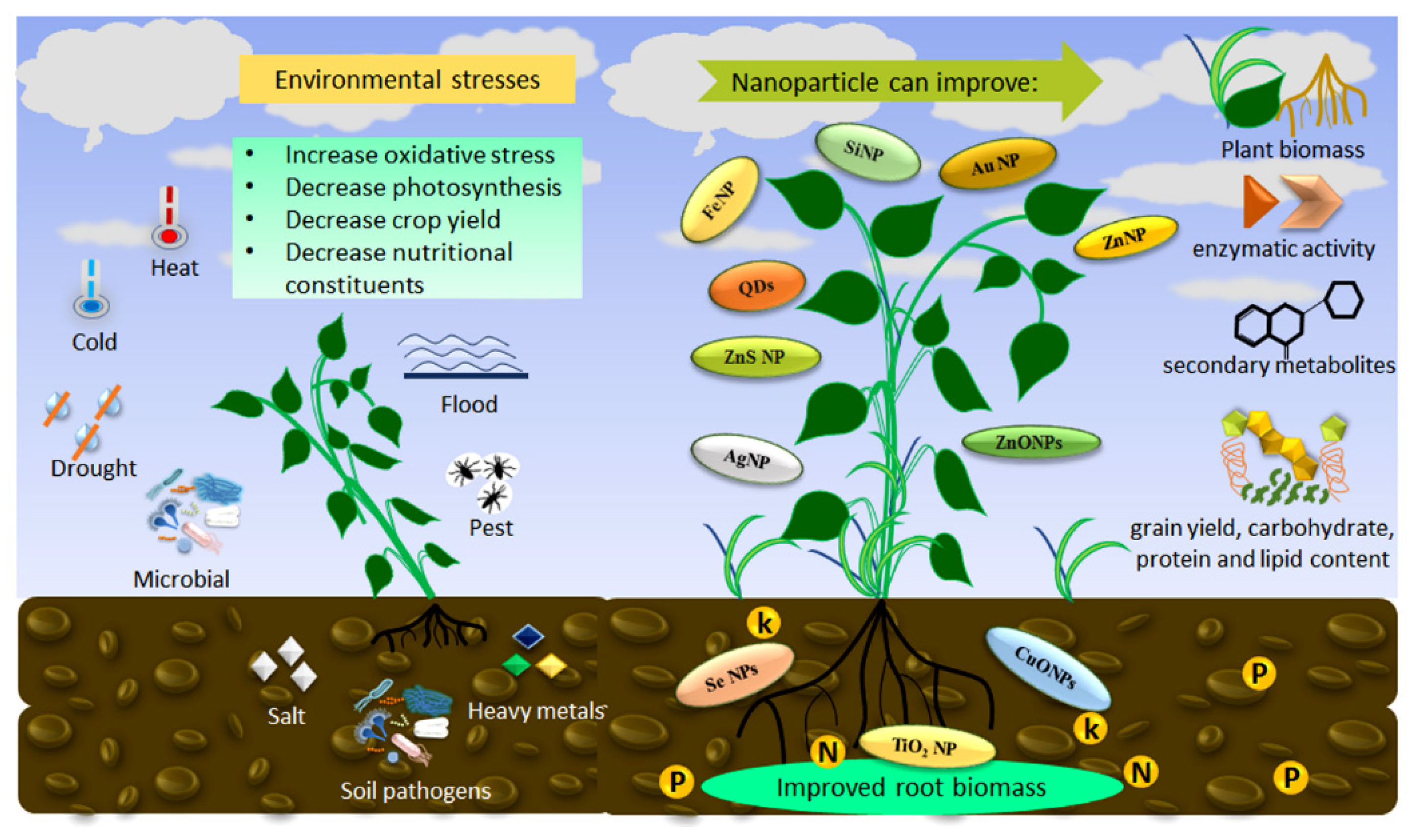 Plants 12 00815 g004