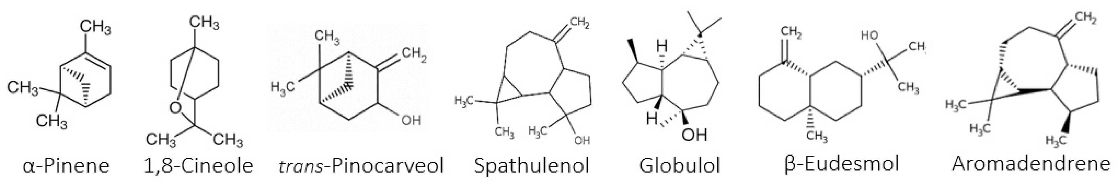 Plants 12 00816 g001 550