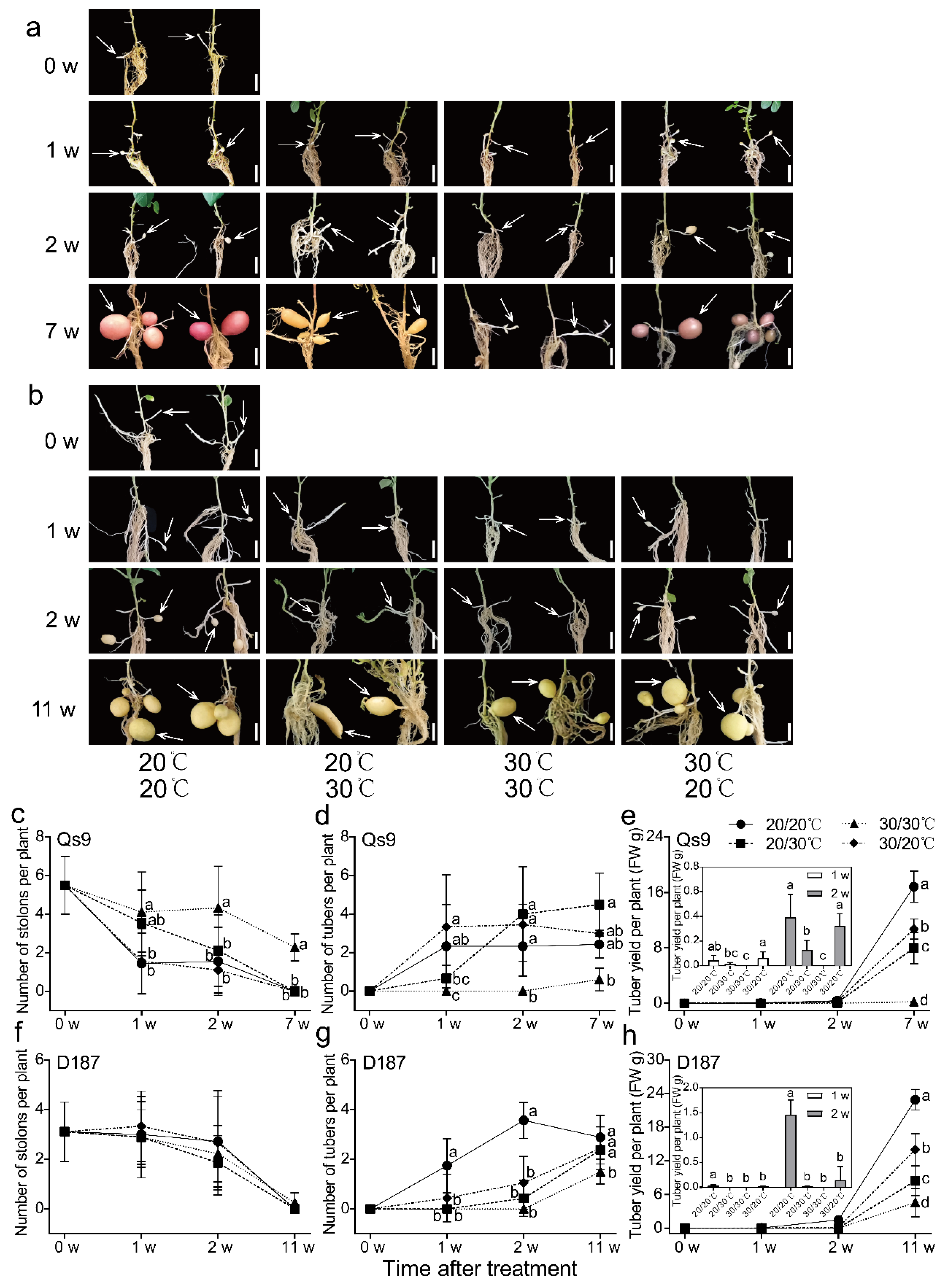 Plants 12 00818 g004 550
