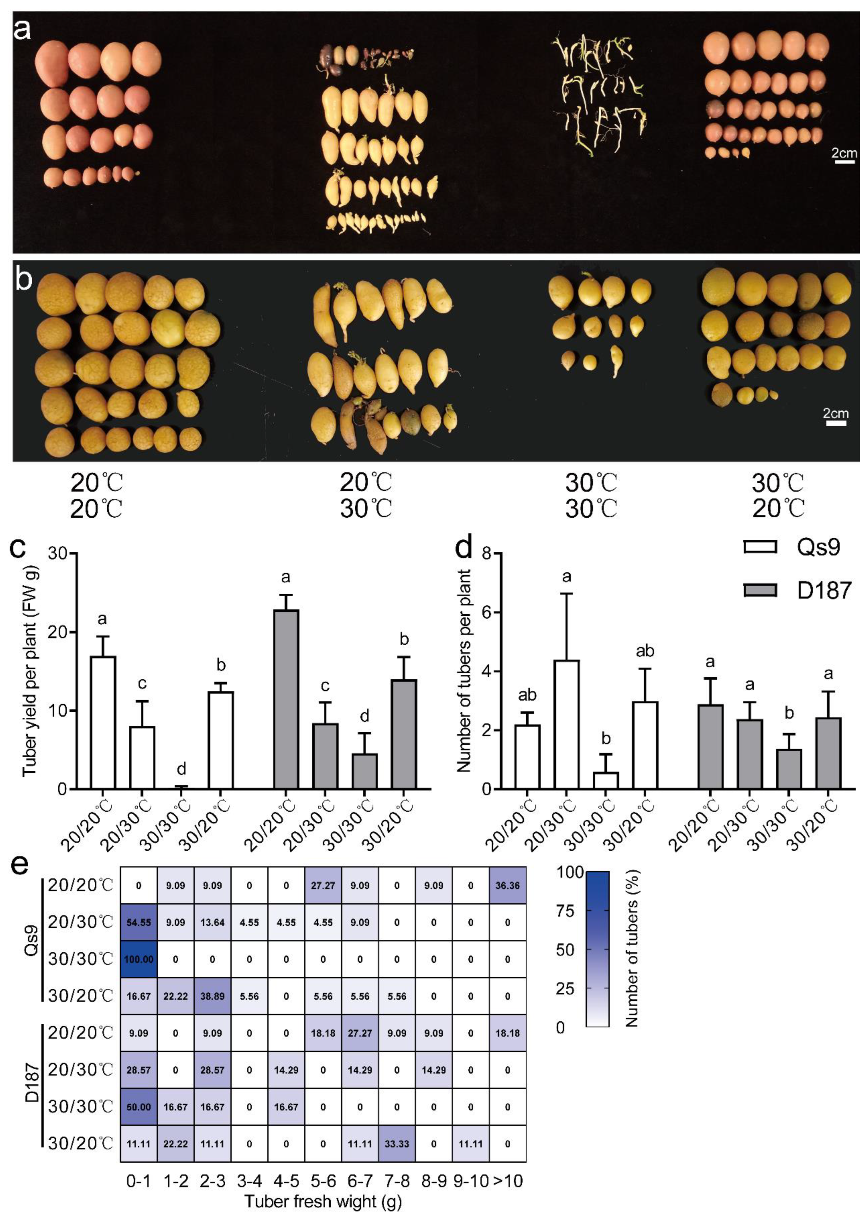 Plants 12 00818 g005 550
