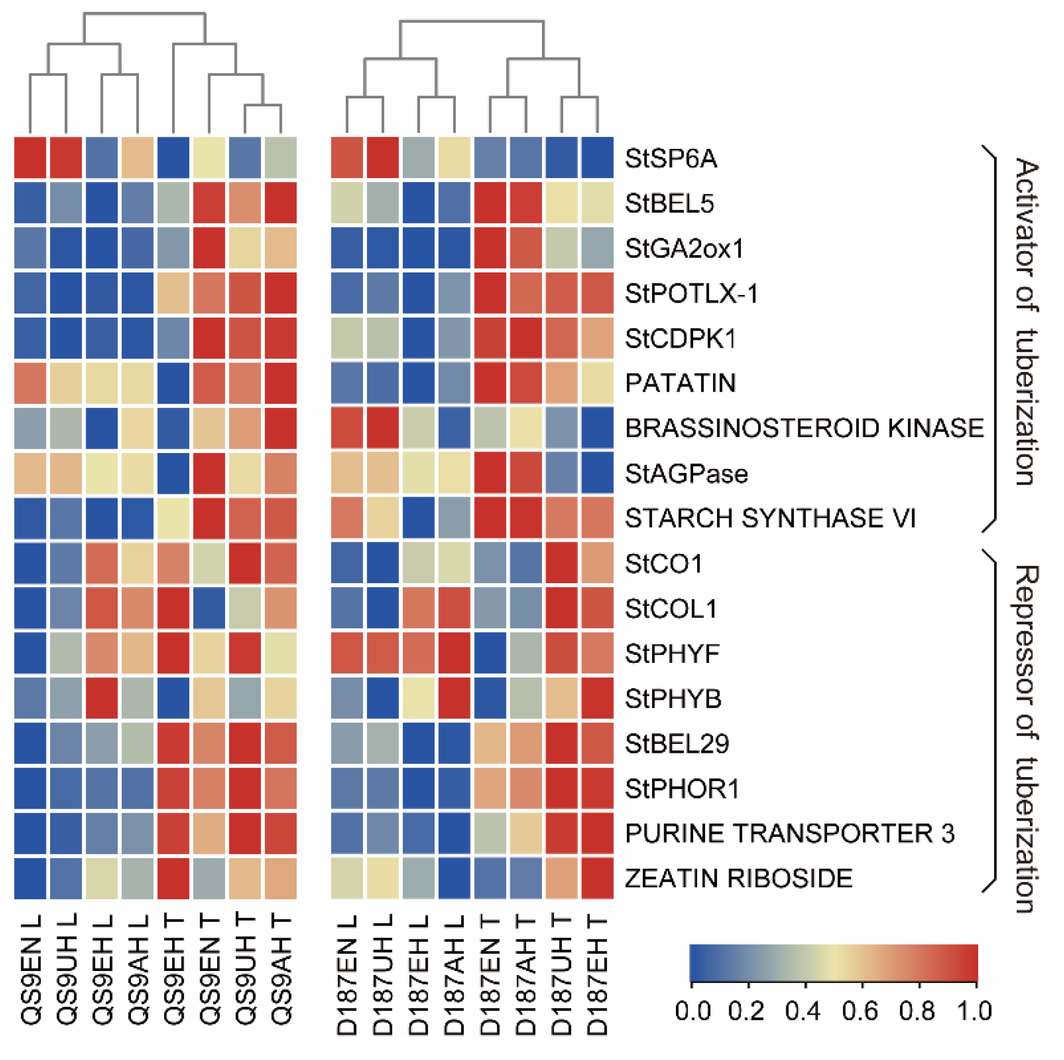 Plants 12 00818 g007 550
