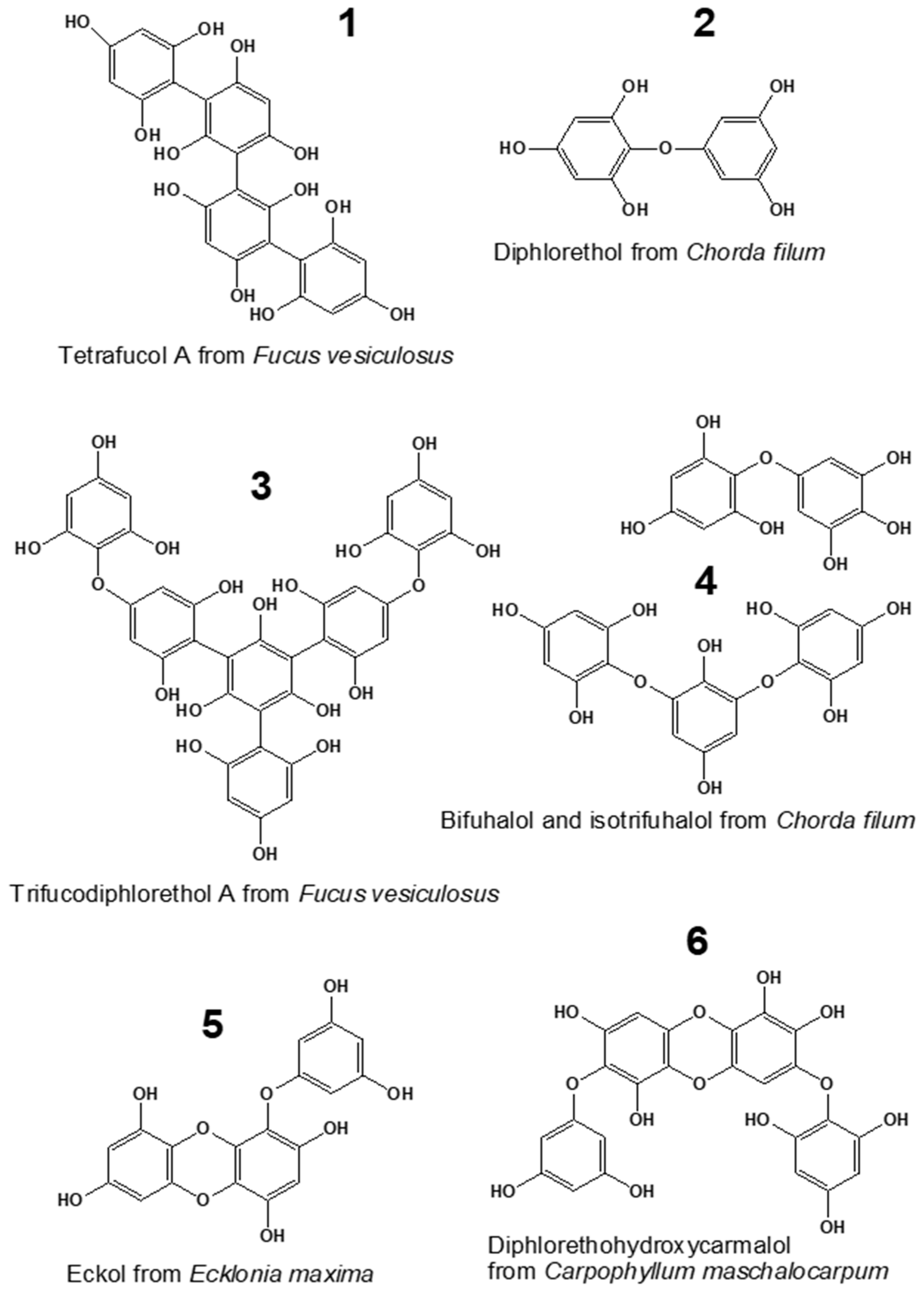 Plants 12 00821 g001