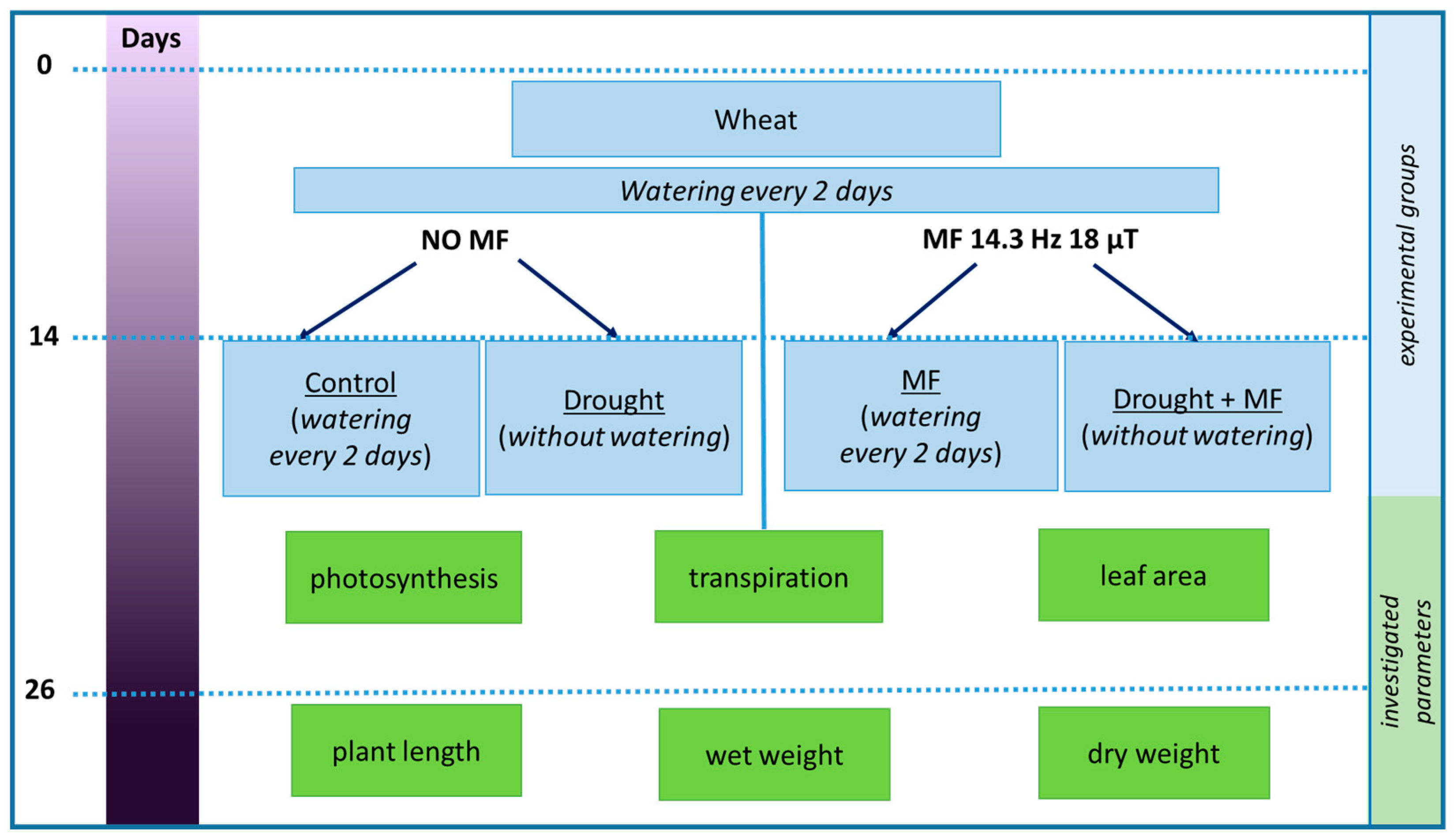 Plants 12 00826 g007 Plants 12 00826 g007