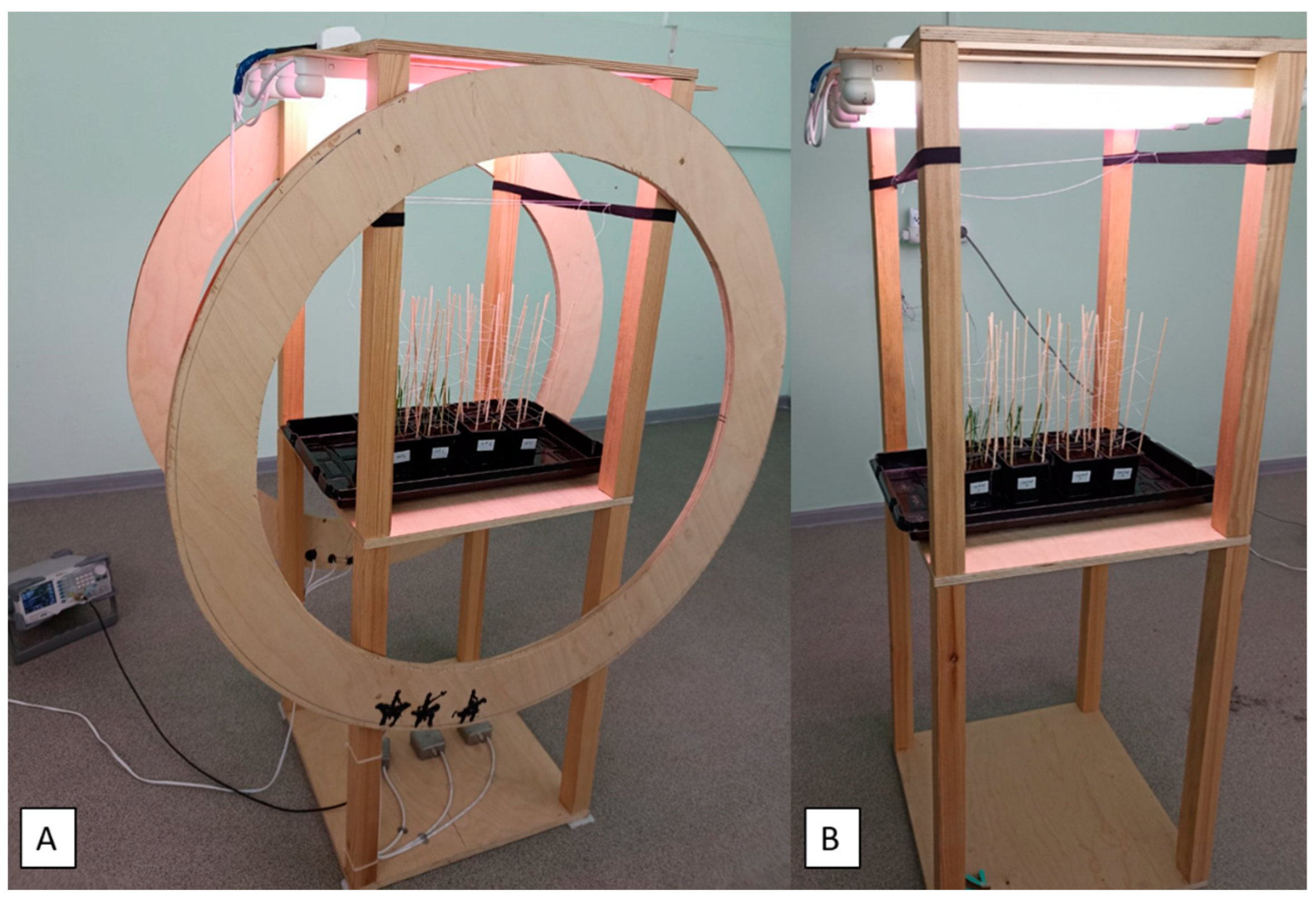Plants 12 00826 g008 Plants 12 00826 g008
