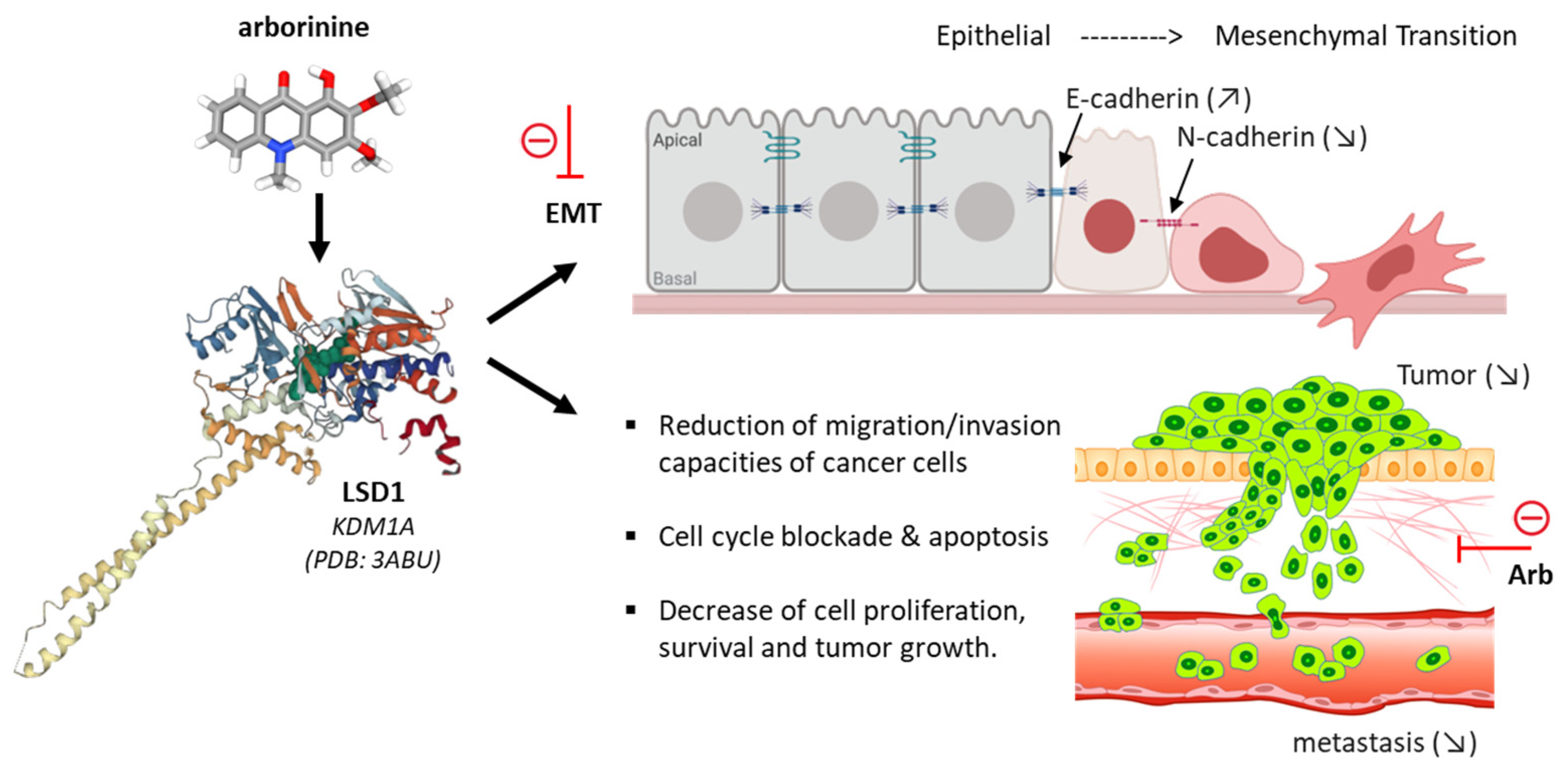 Plants 12 00827 g005
