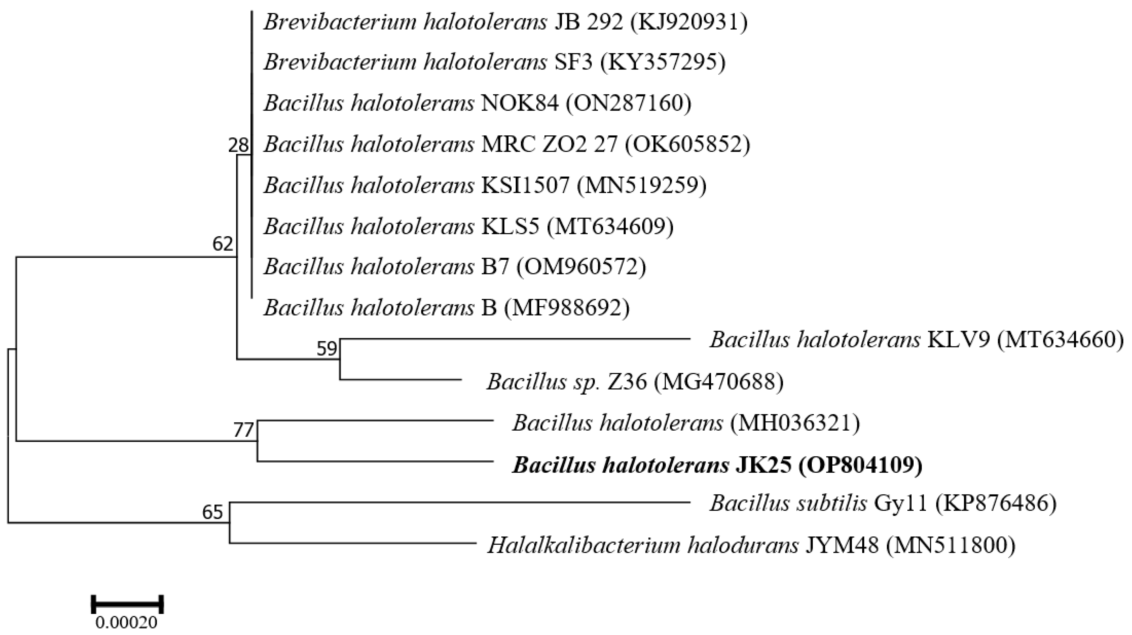 Plants 12 00828 g001
