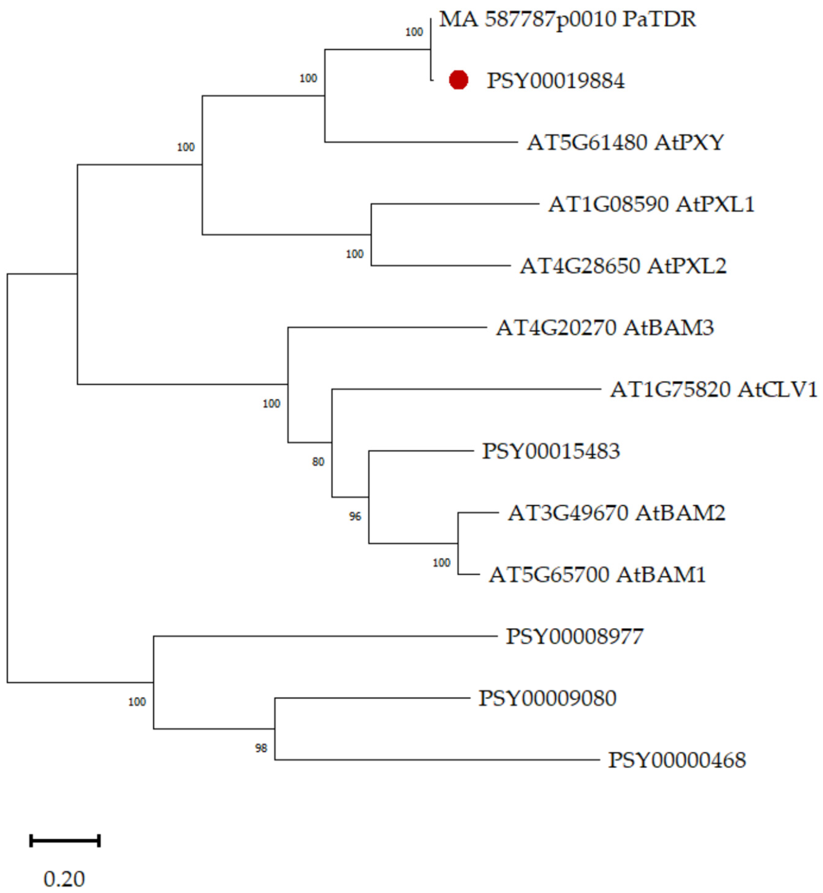 Plants 12 00835 g001