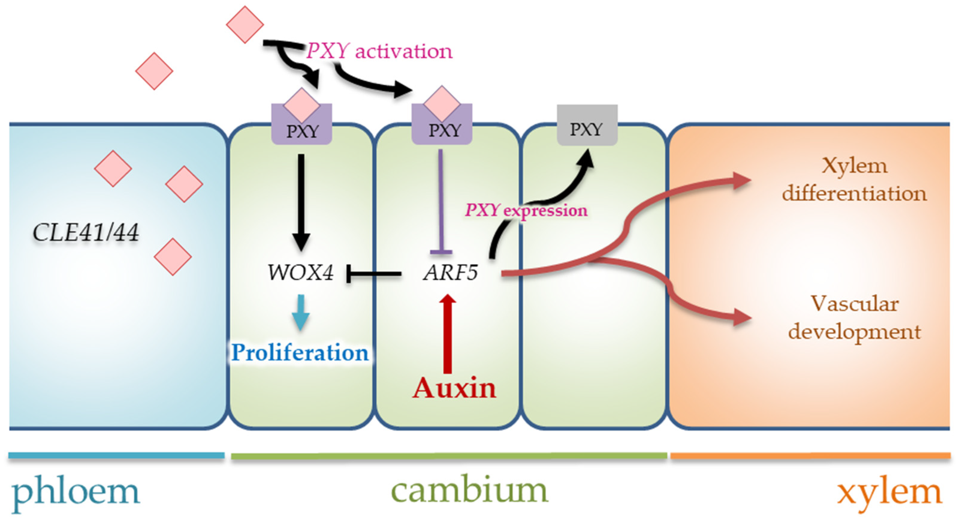 Plants 12 00835 g008