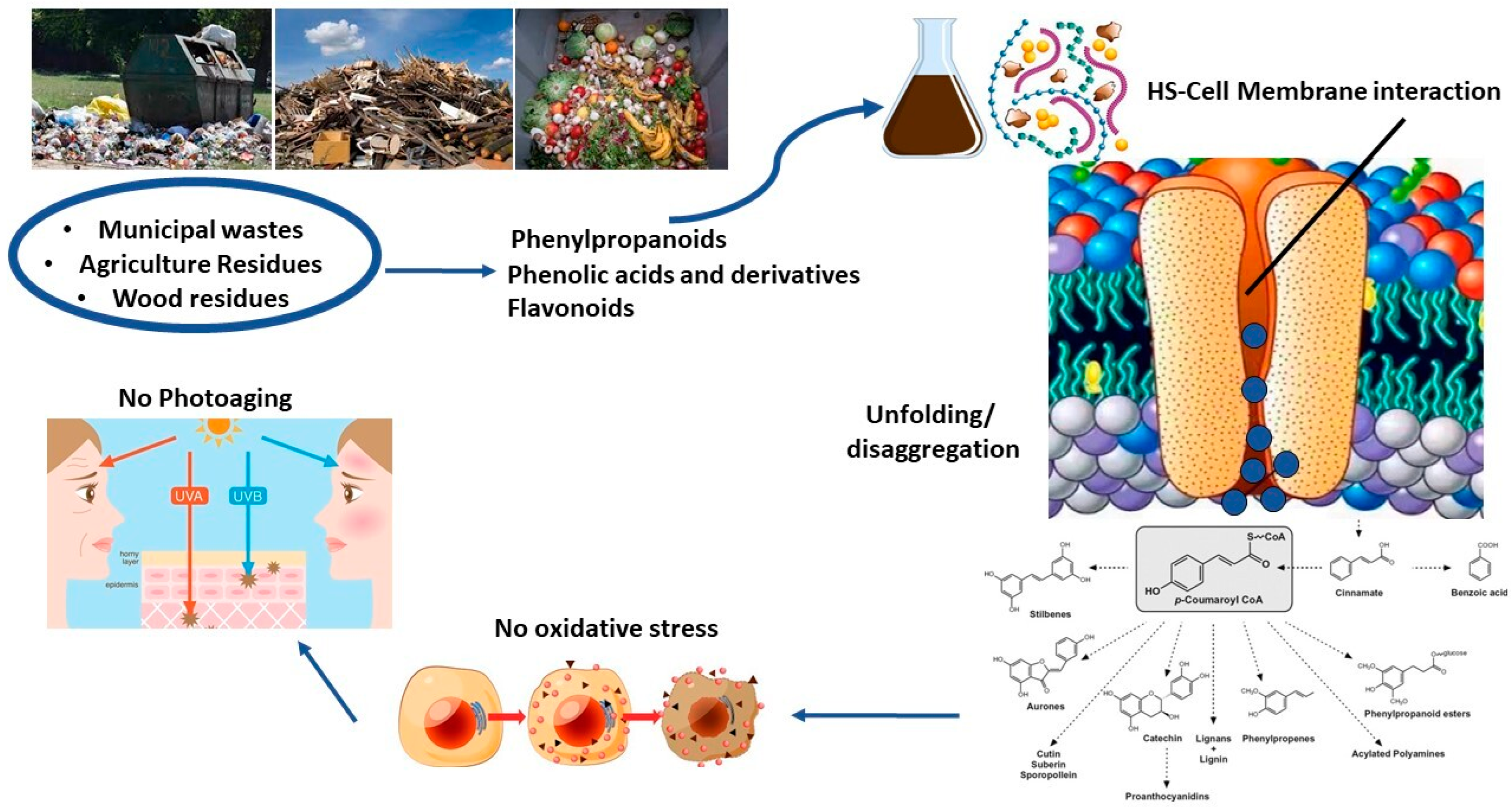 Plants 12 00840 g002
