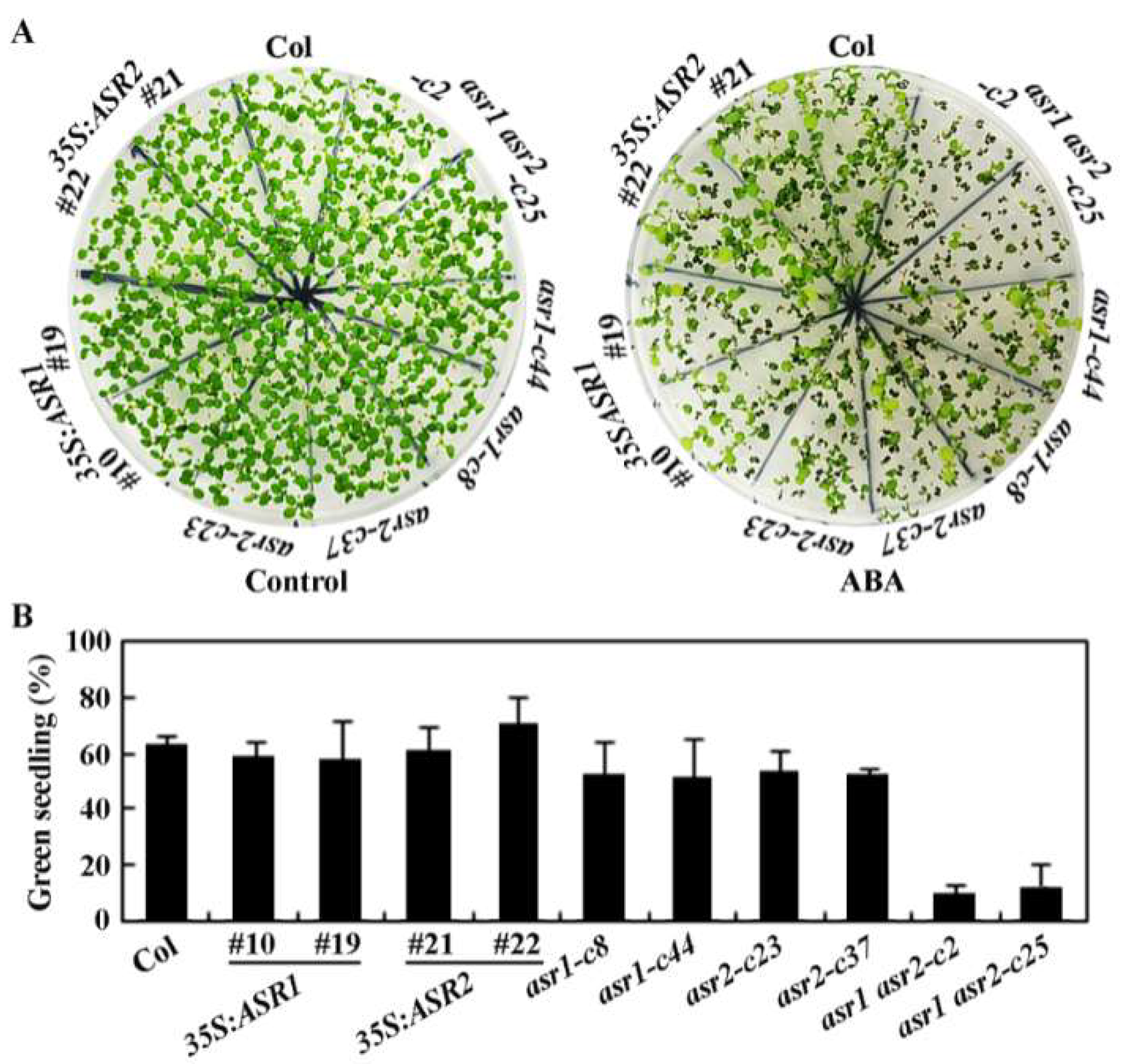 Plants 12 00852 g005 Plants 12 00852 g005