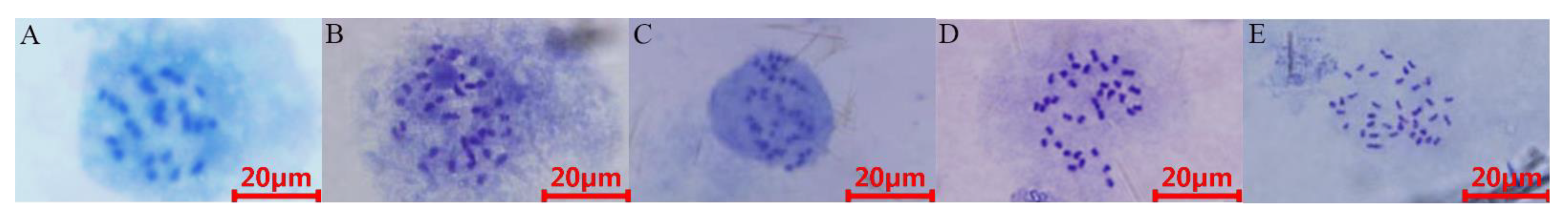 Plants 12 00858 g003 Plants 12 00858 g003