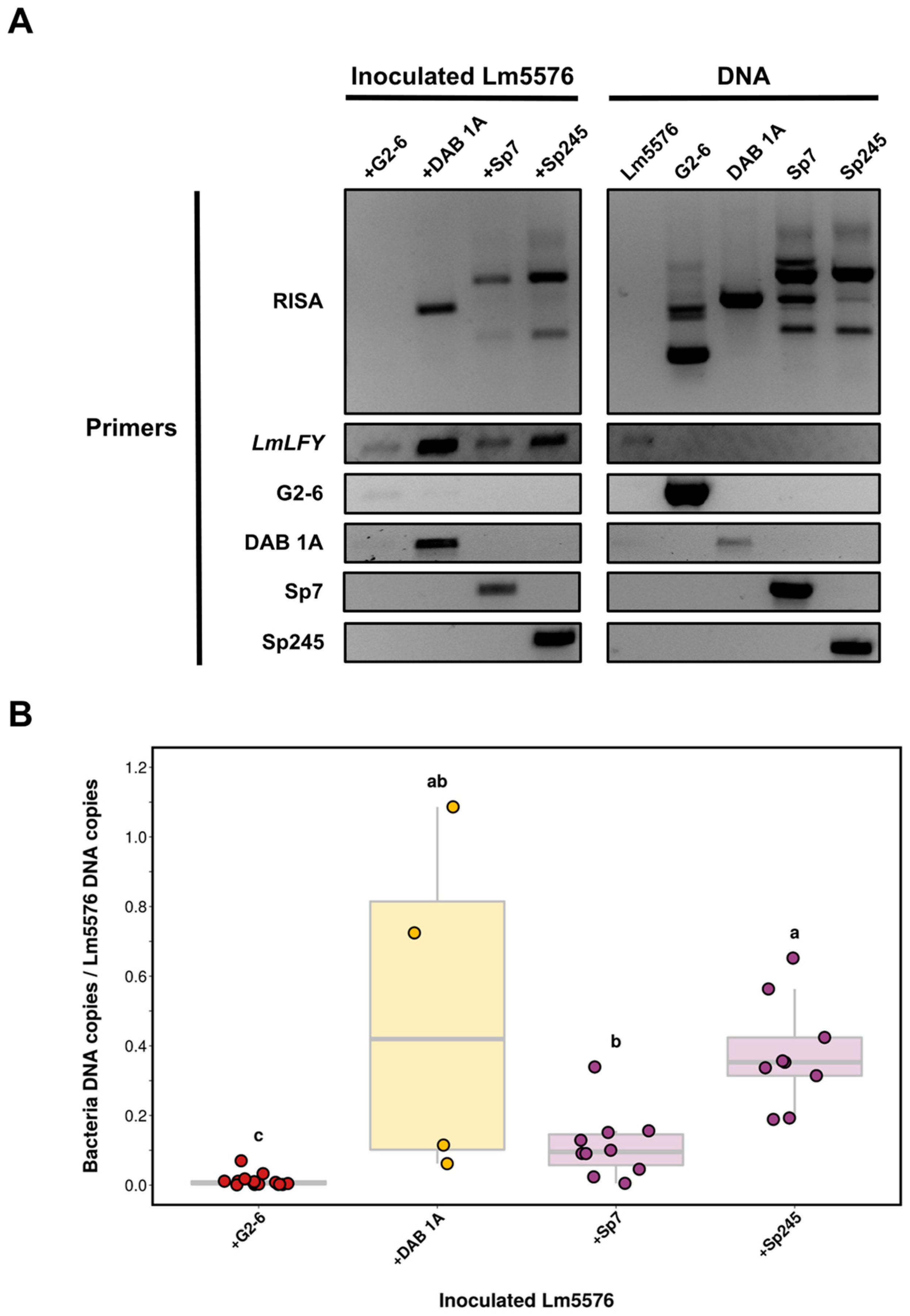 Plants 12 00872 g001