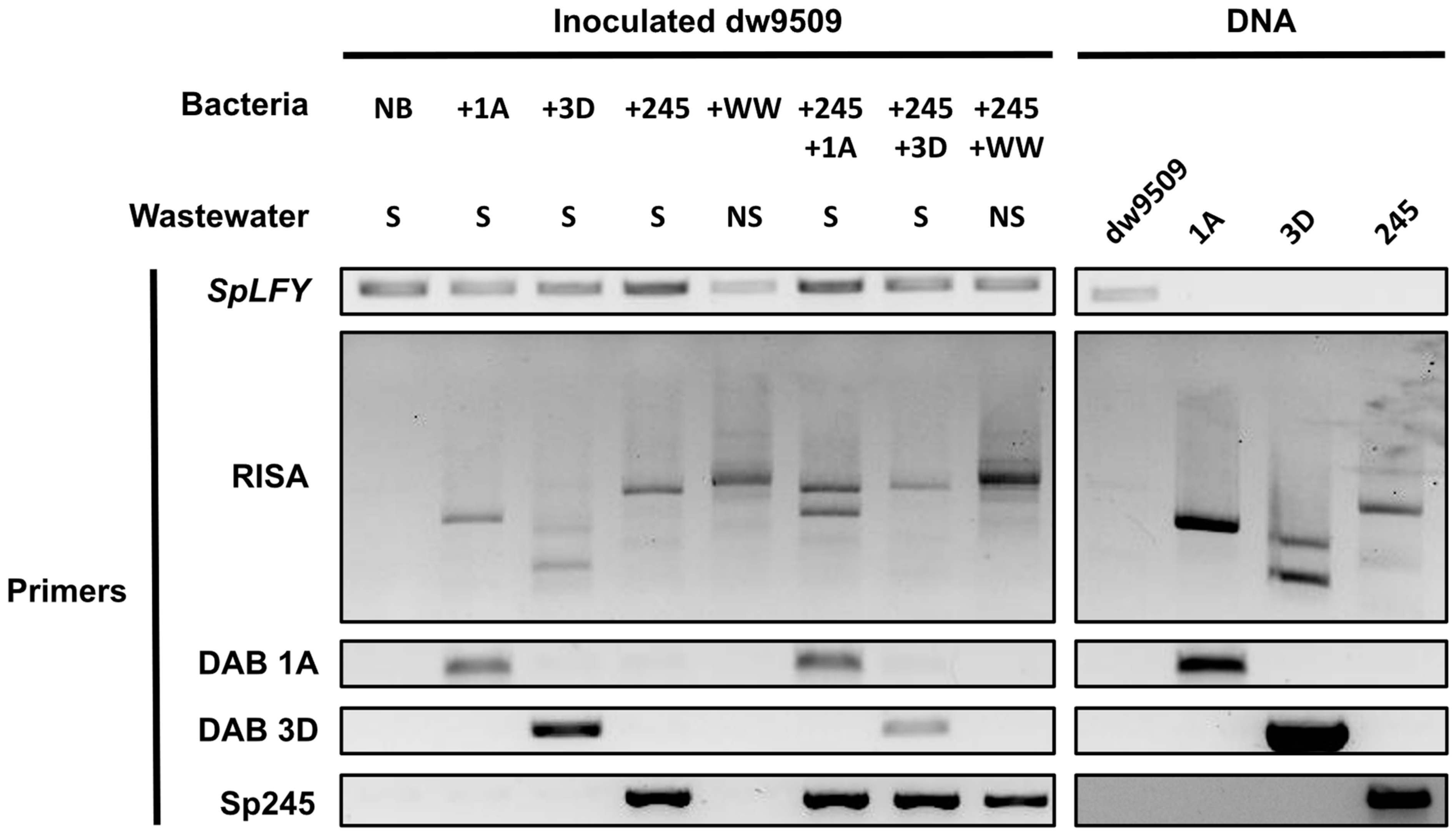 Plants 12 00872 g003