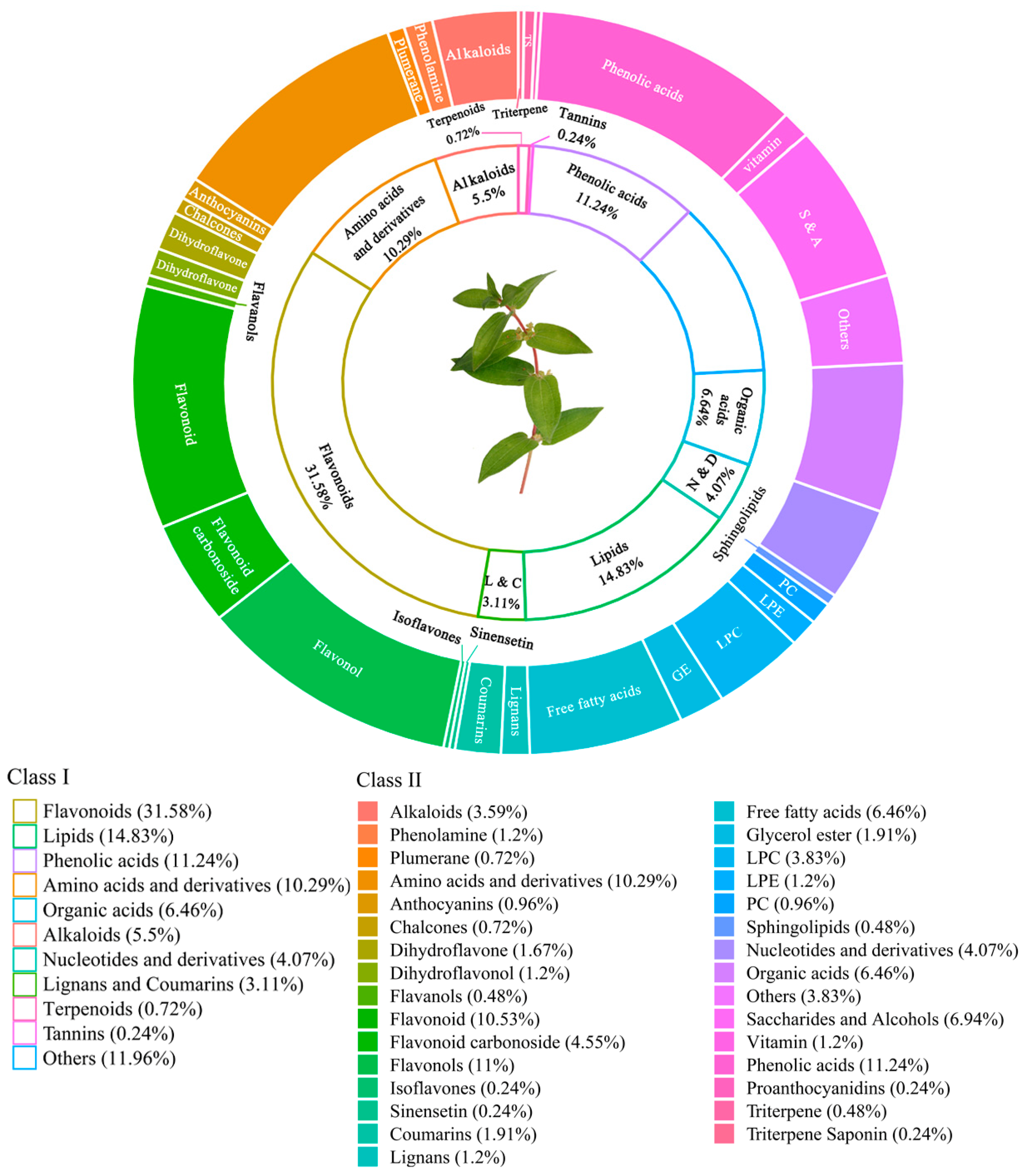 Plants 12 00875 g001 Plants 12 00875 g001
