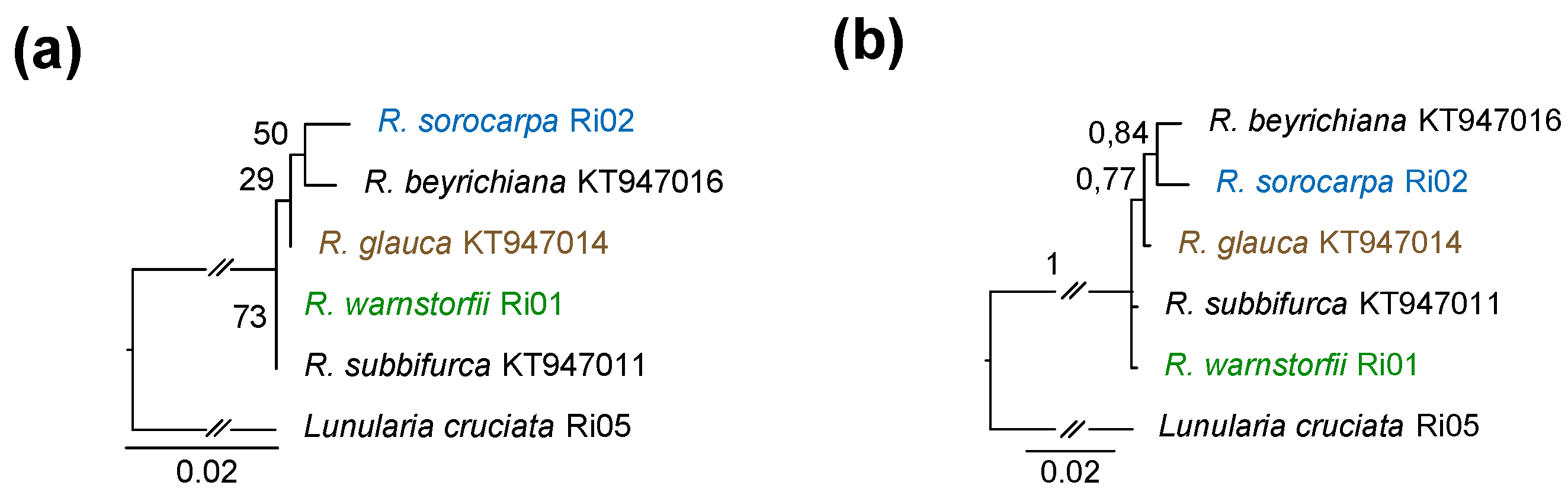 Plants 12 00881 g009