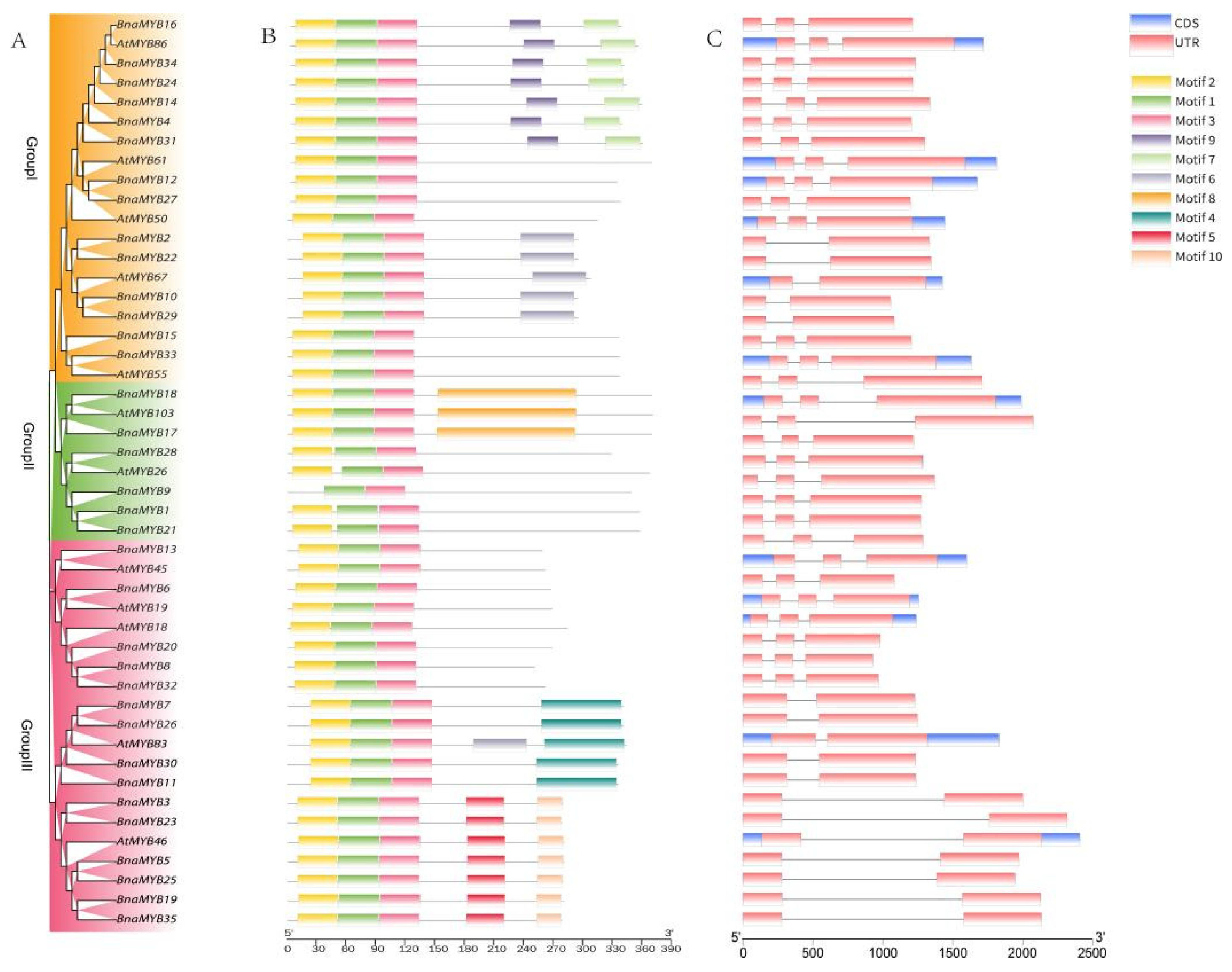 Plants 12 00886 g003 Plants 12 00886 g003