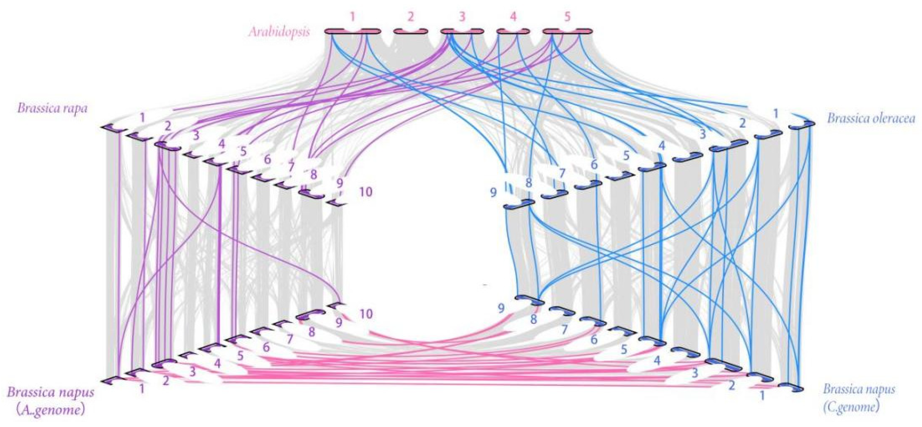 Plants 12 00886 g005 Plants 12 00886 g005