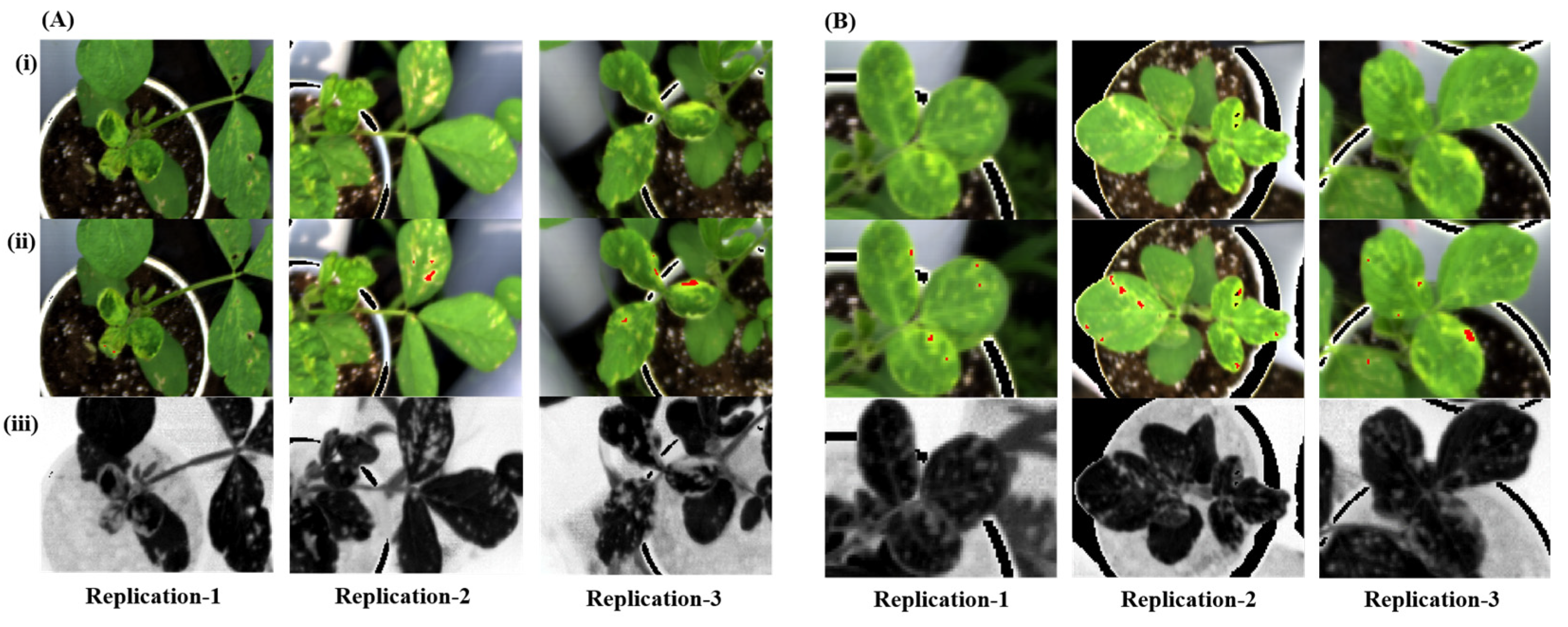 Plants 12 00901 g002