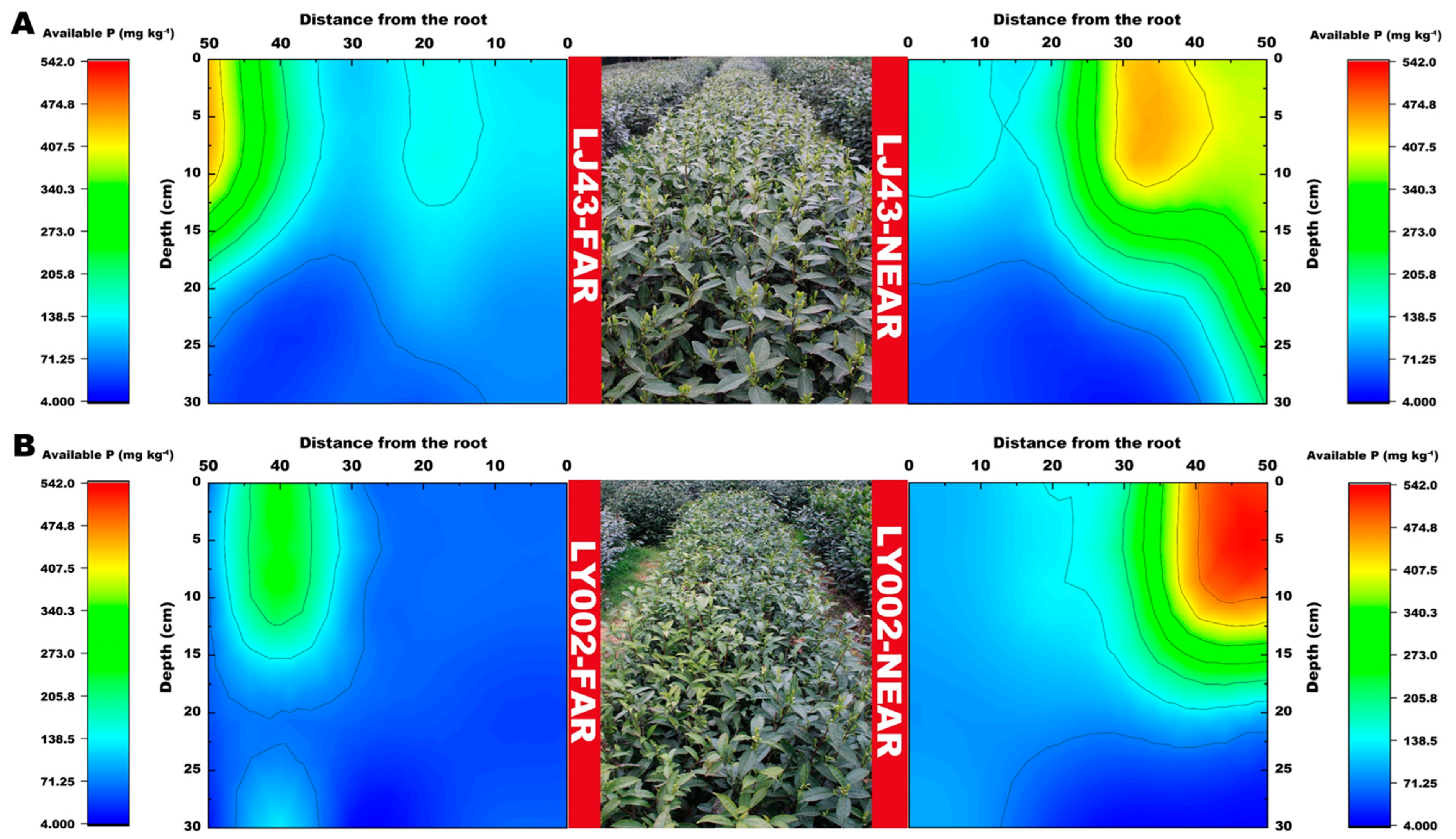 Plants 12 00905 g004