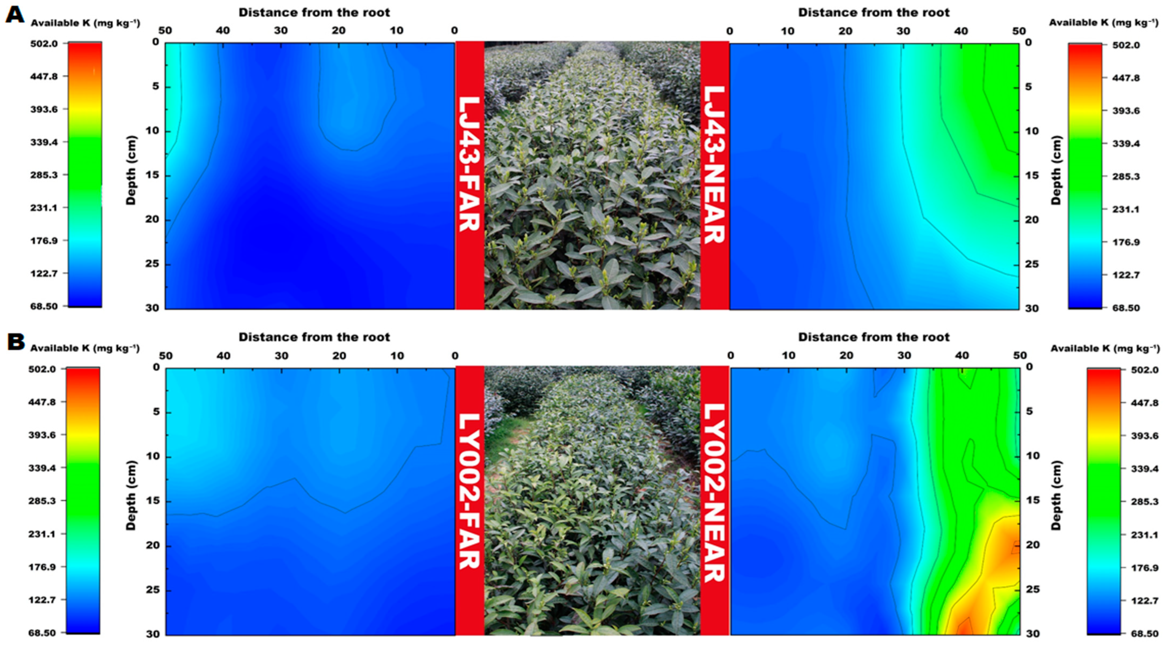 Plants 12 00905 g006