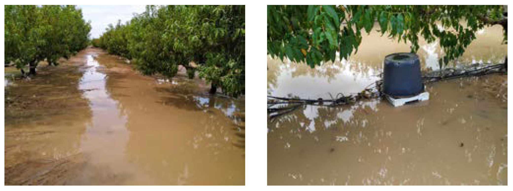 Plants 12 00907 g011 Plants 12 00907 g011