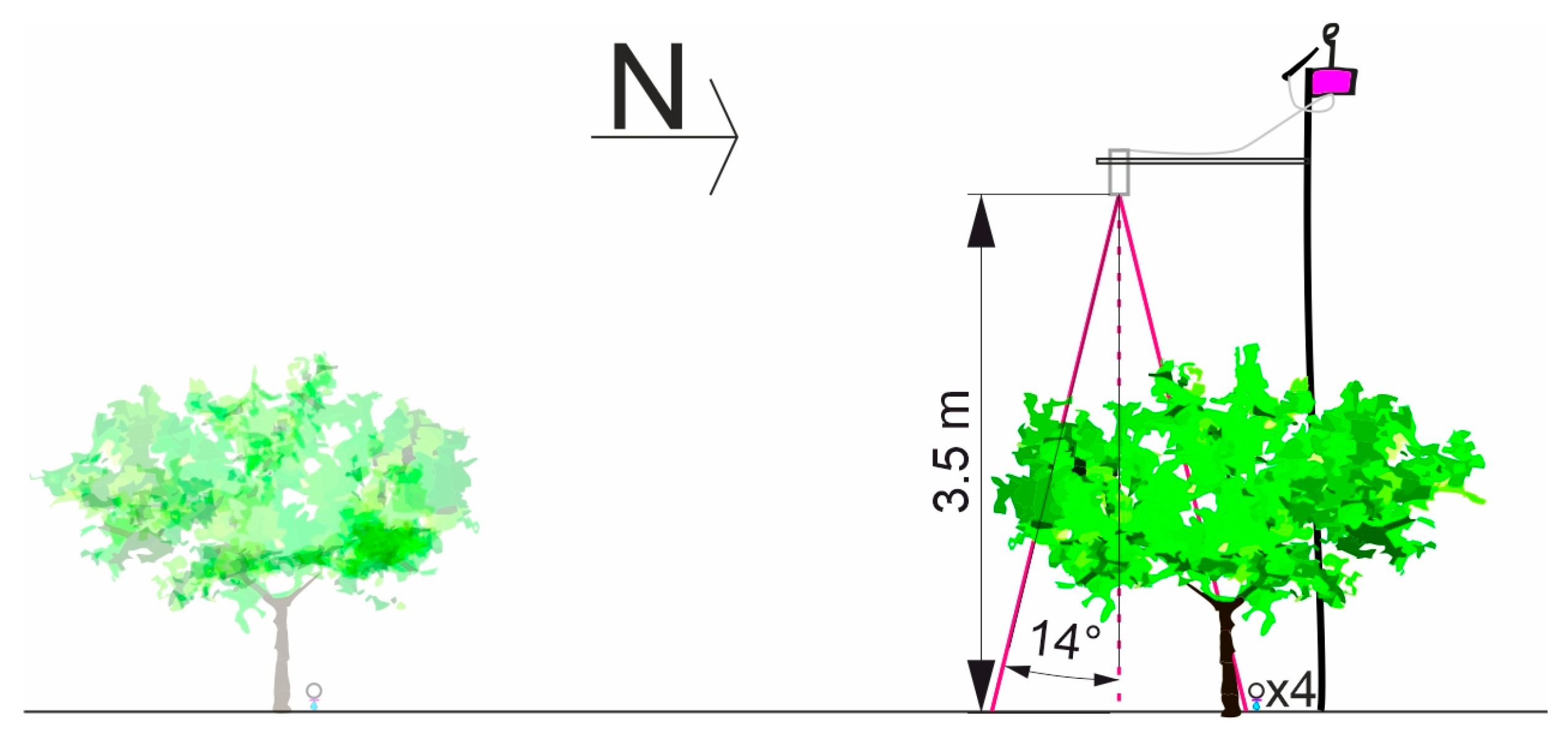 Plants 12 00907 g012 Plants 12 00907 g012