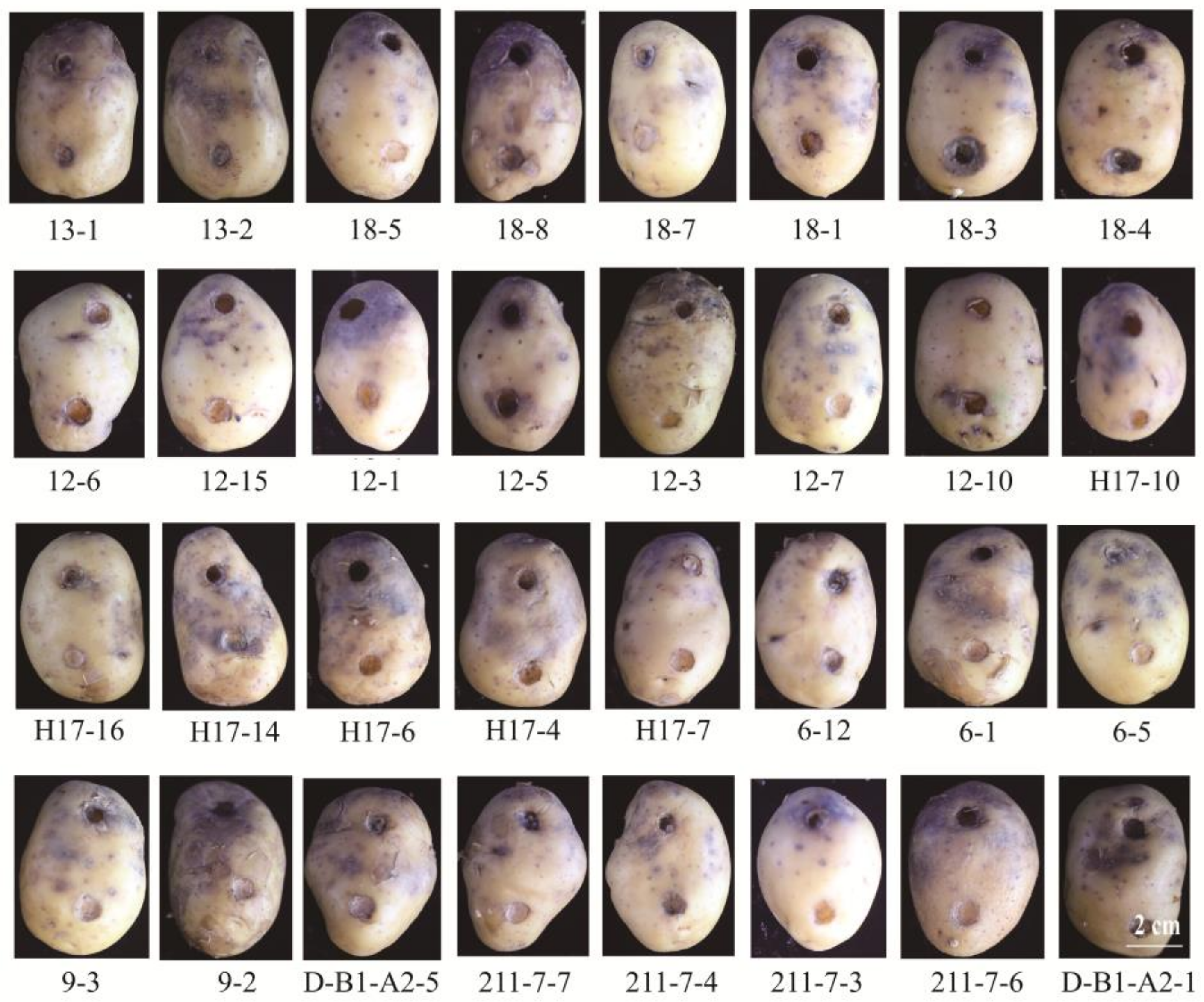 Plants 12 00909 g001 Plants 12 00909 g001