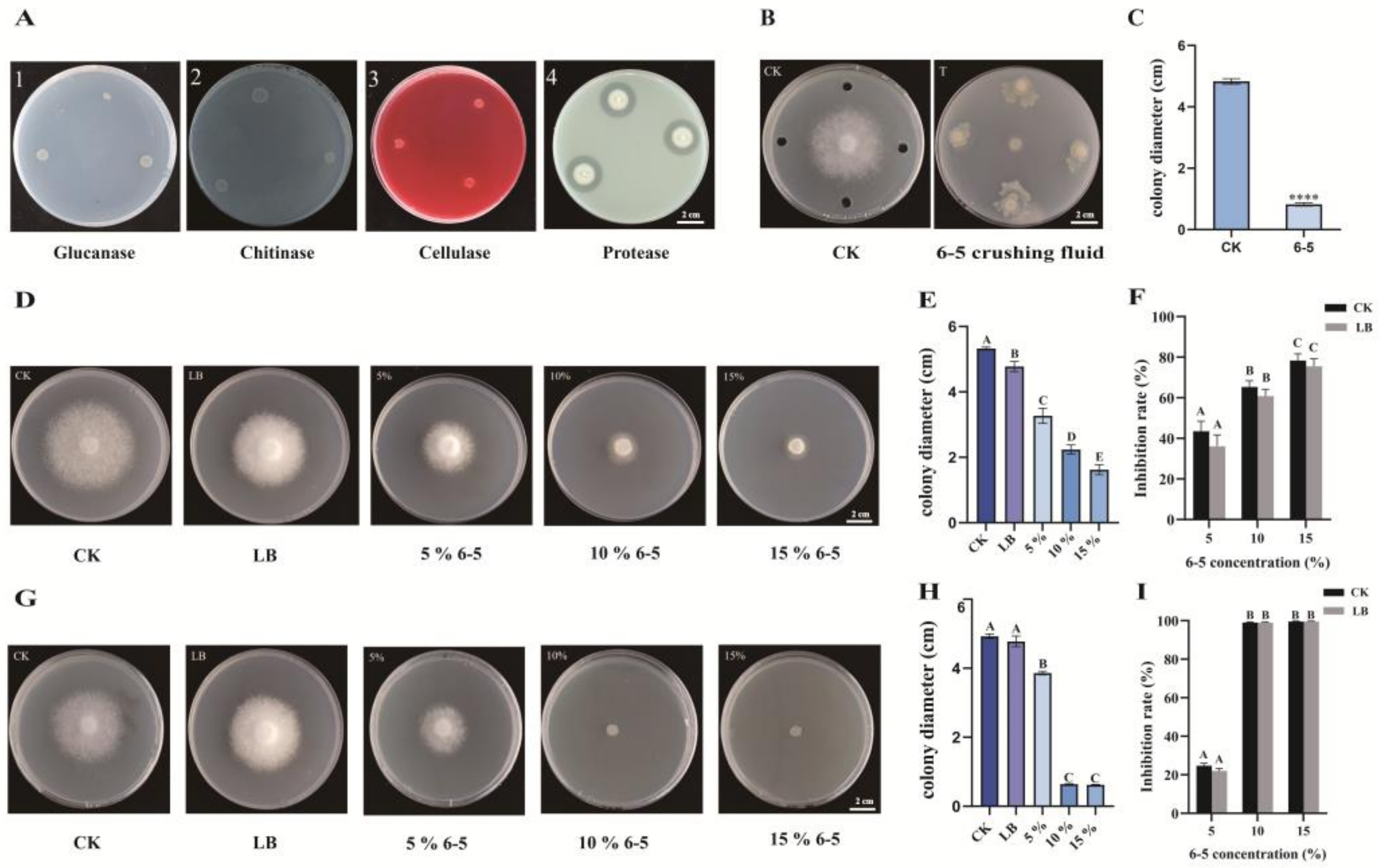Plants 12 00909 g003 Plants 12 00909 g003