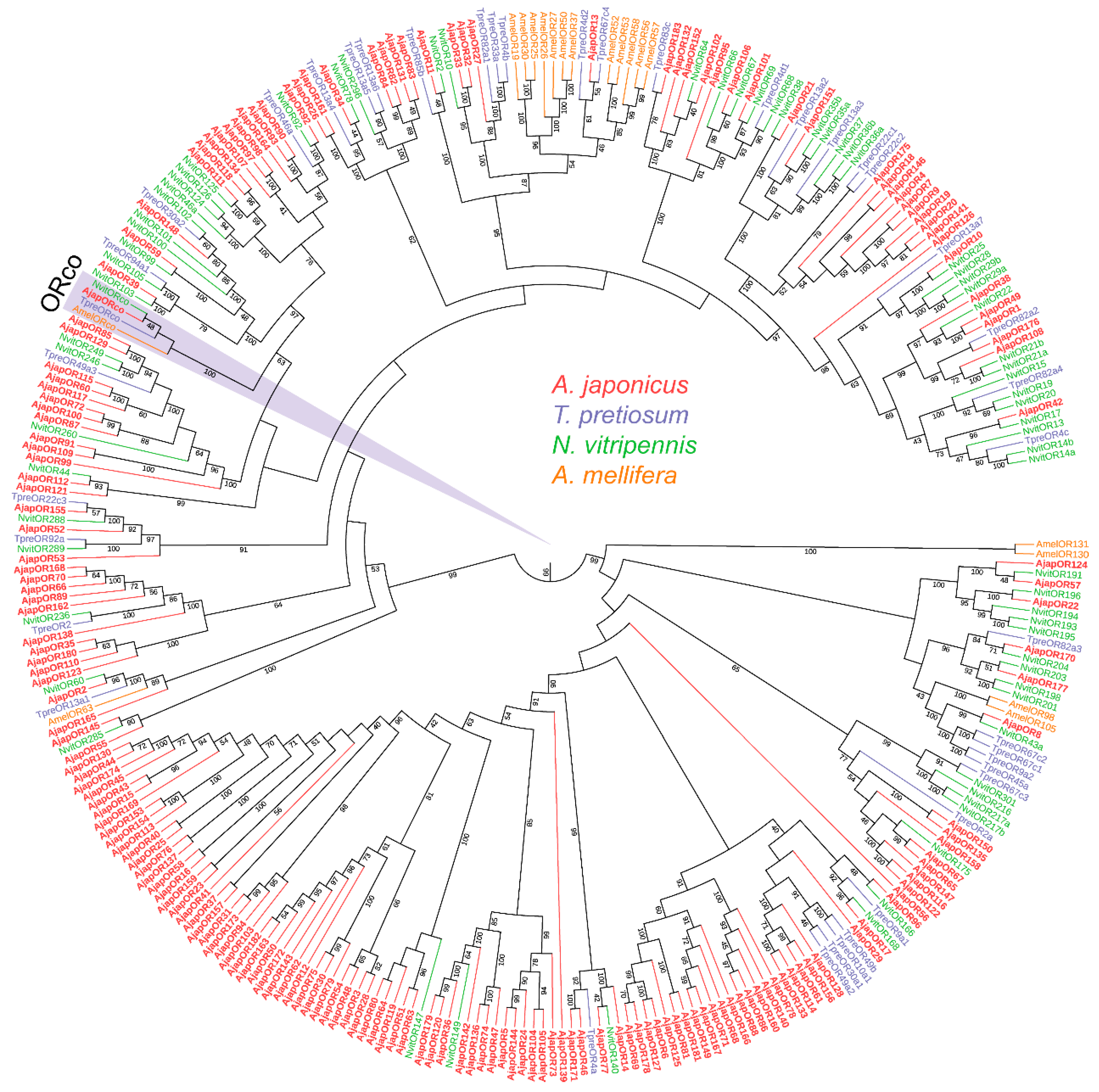 Plants 12 00915 g001 Plants 12 00915 g001