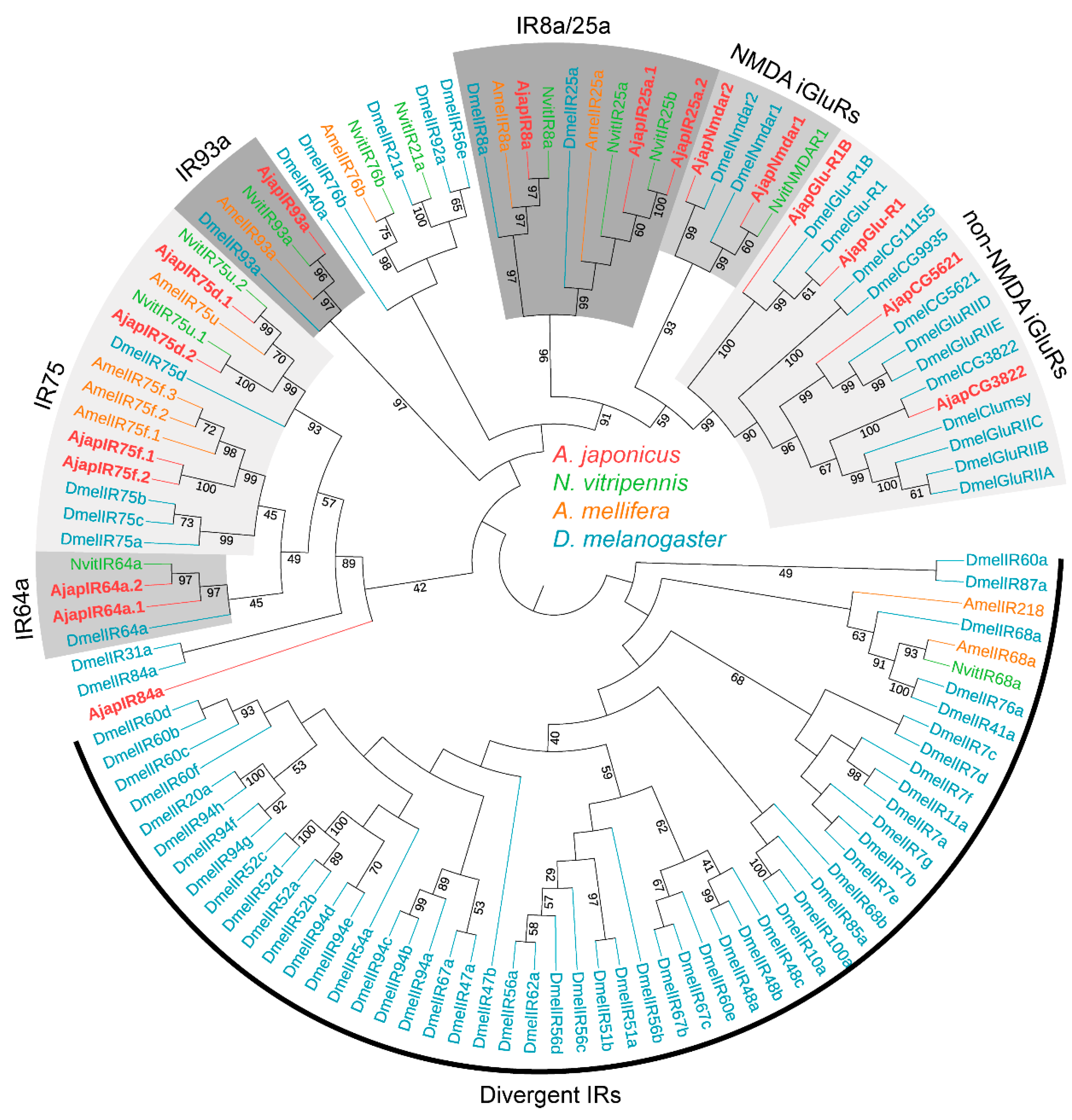 Plants 12 00915 g002 Plants 12 00915 g002