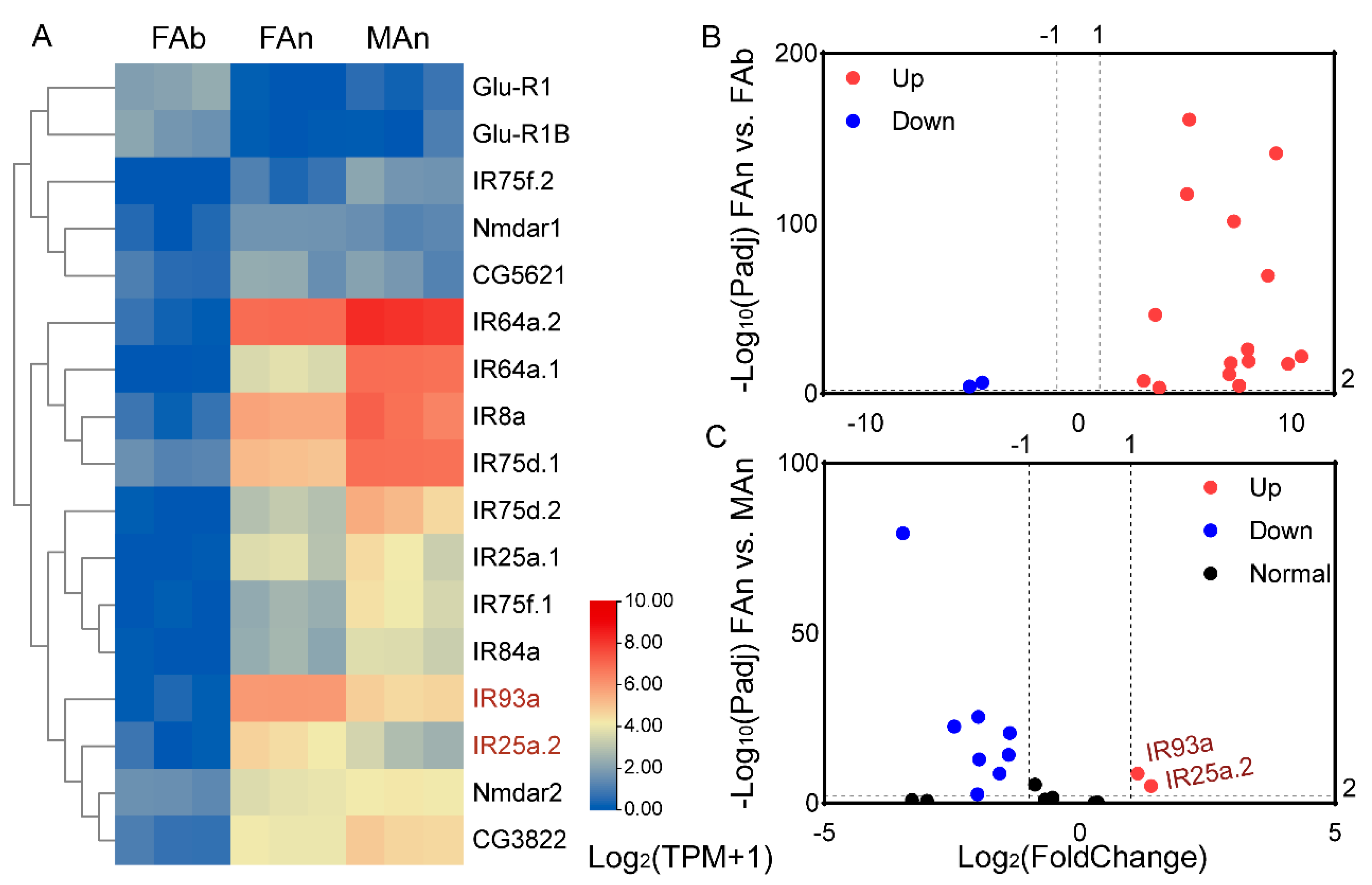 Plants 12 00915 g005 Plants 12 00915 g005