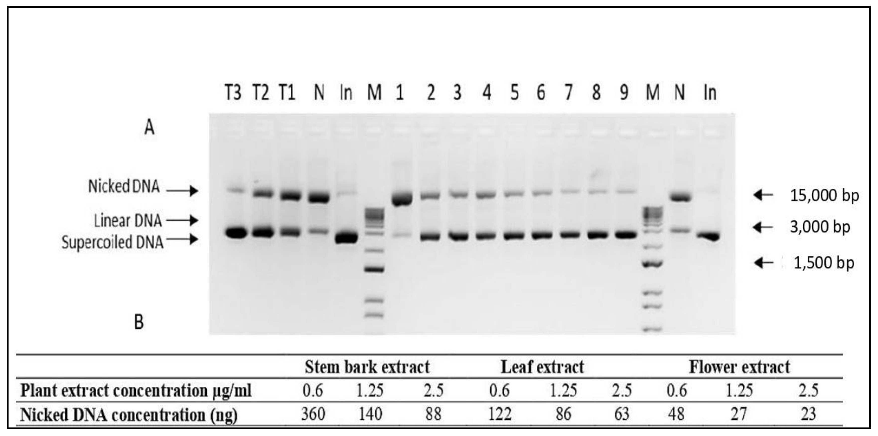 Plants 12 00920 g001