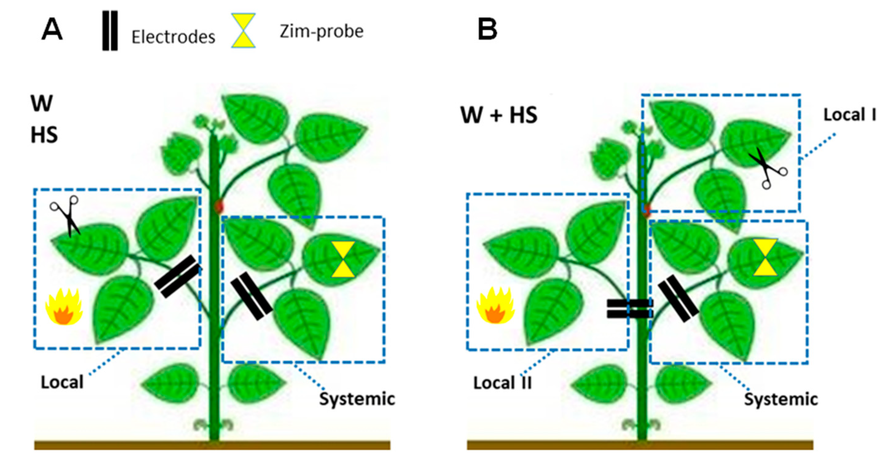 Plants 12 00924 g010