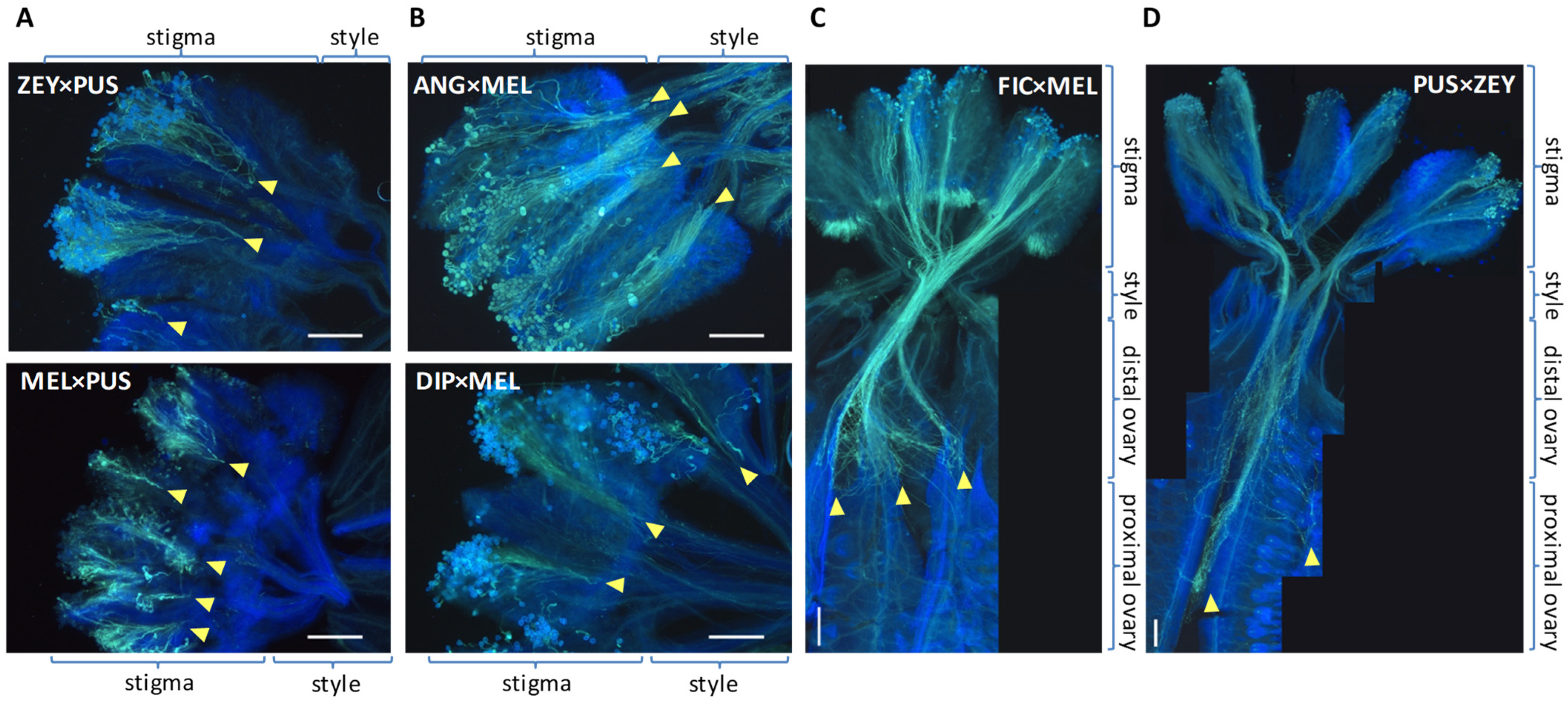Plants 12 00926 g002