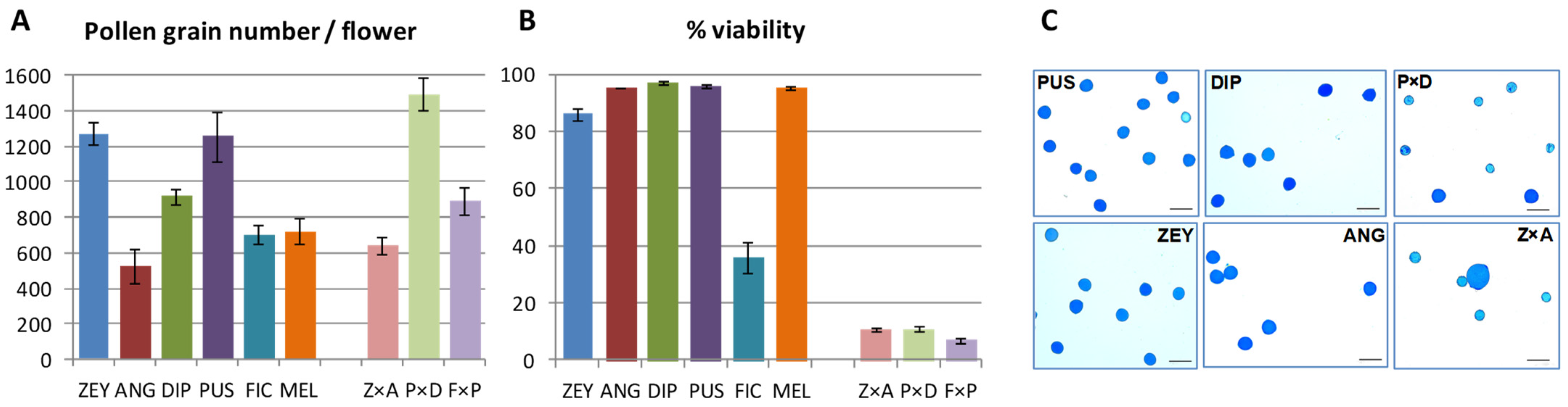 Plants 12 00926 g006