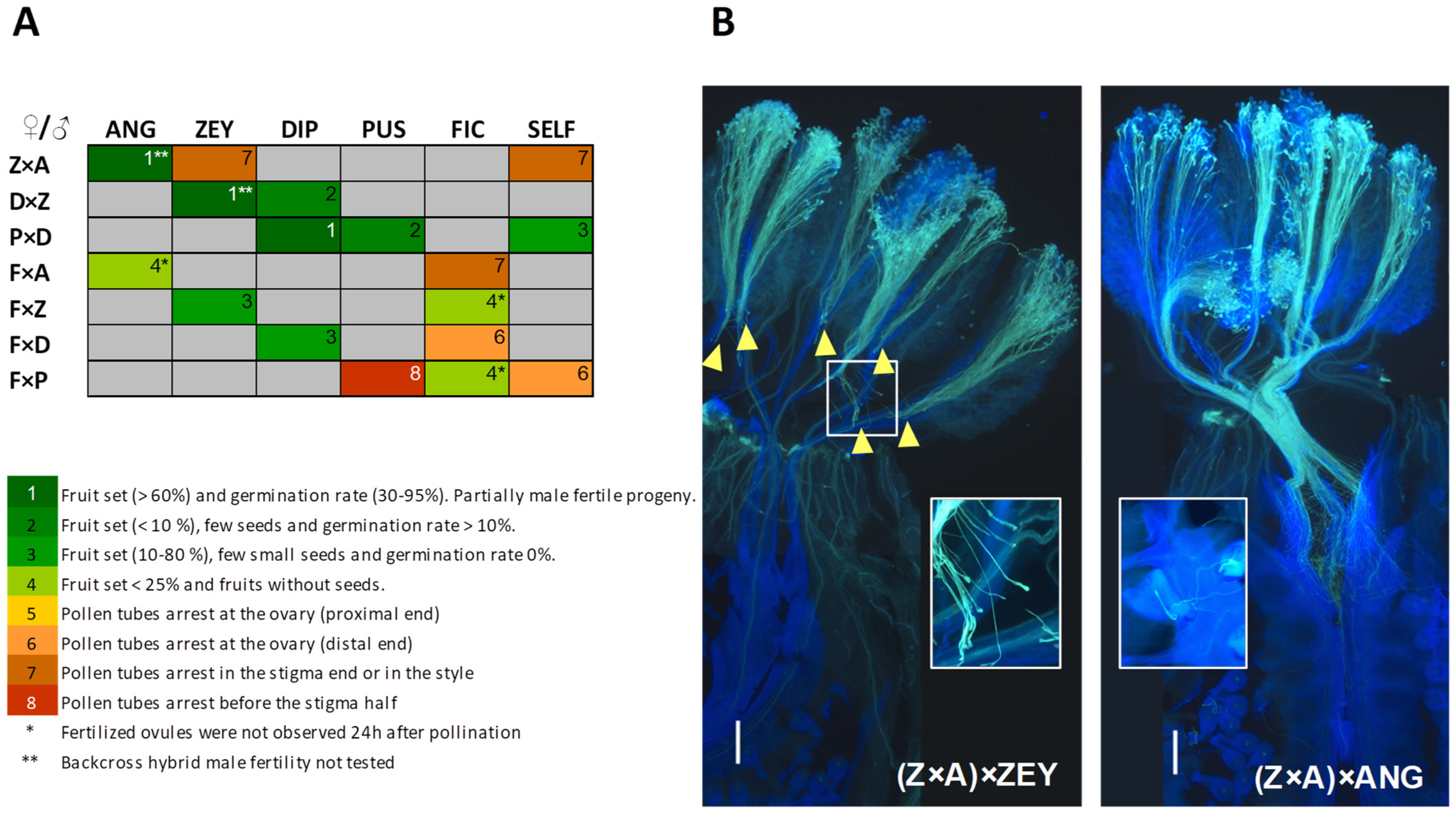 Plants 12 00926 g007