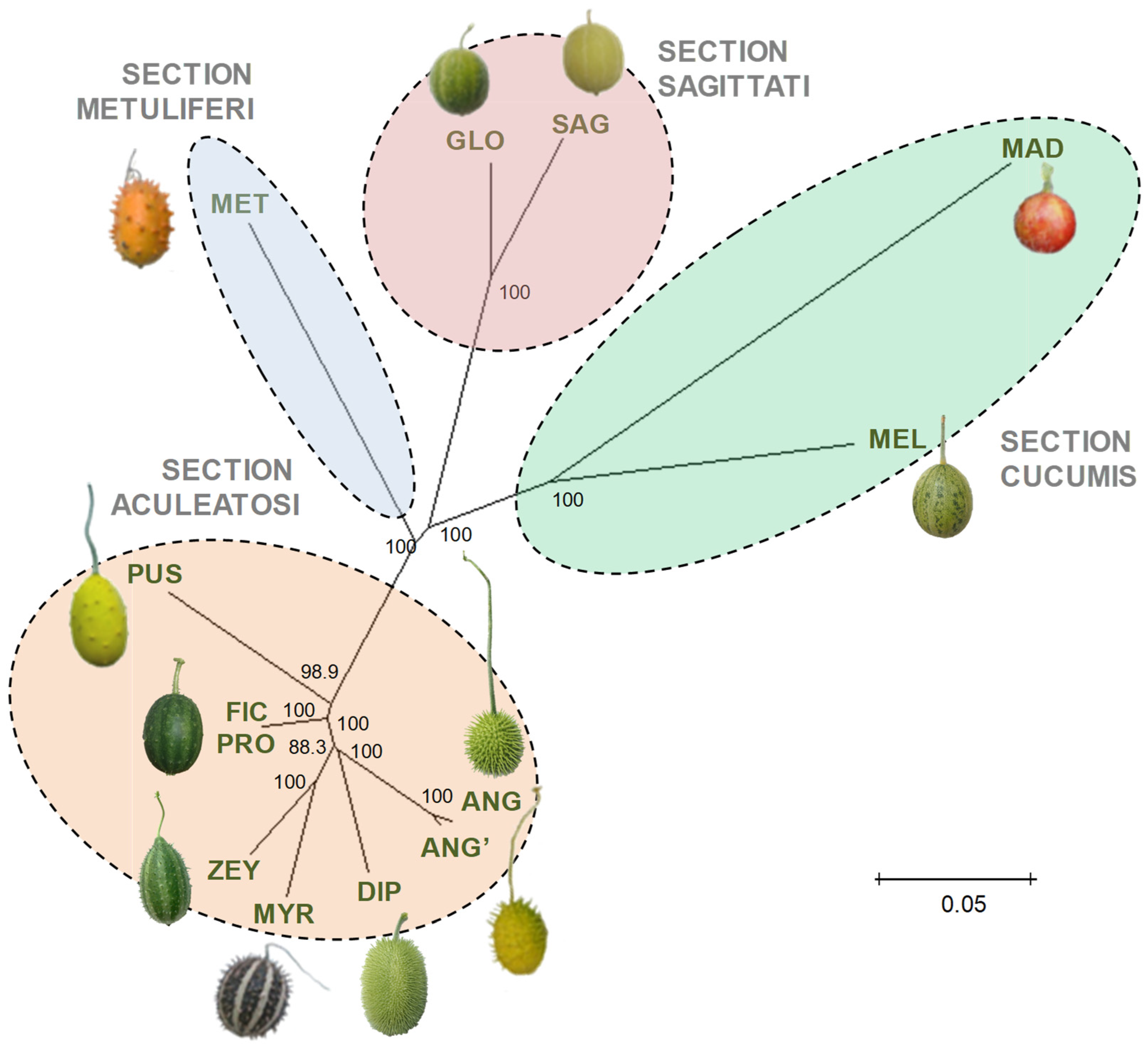 Plants 12 00926 g009